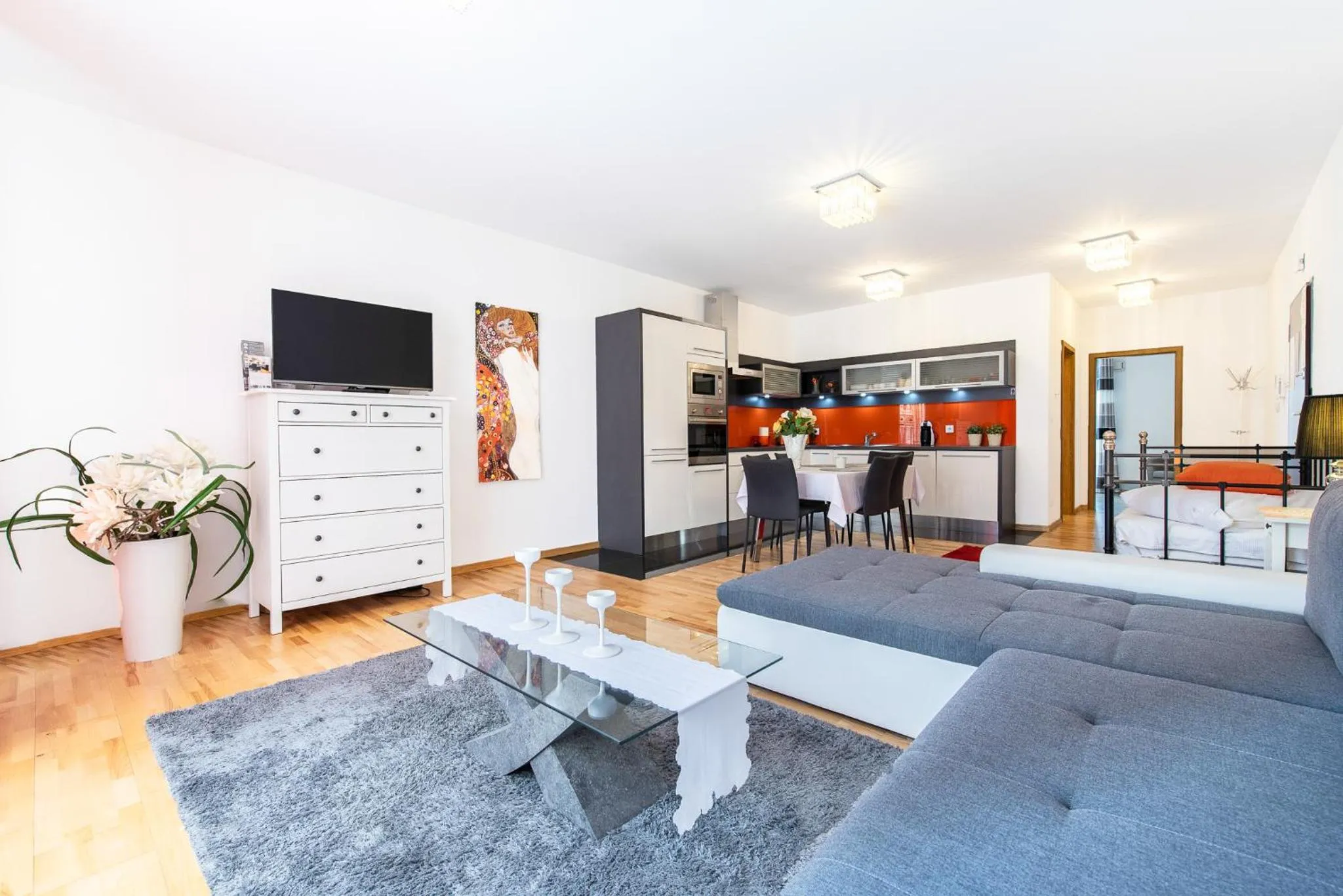 TV and multimedia in City Lights Apartments