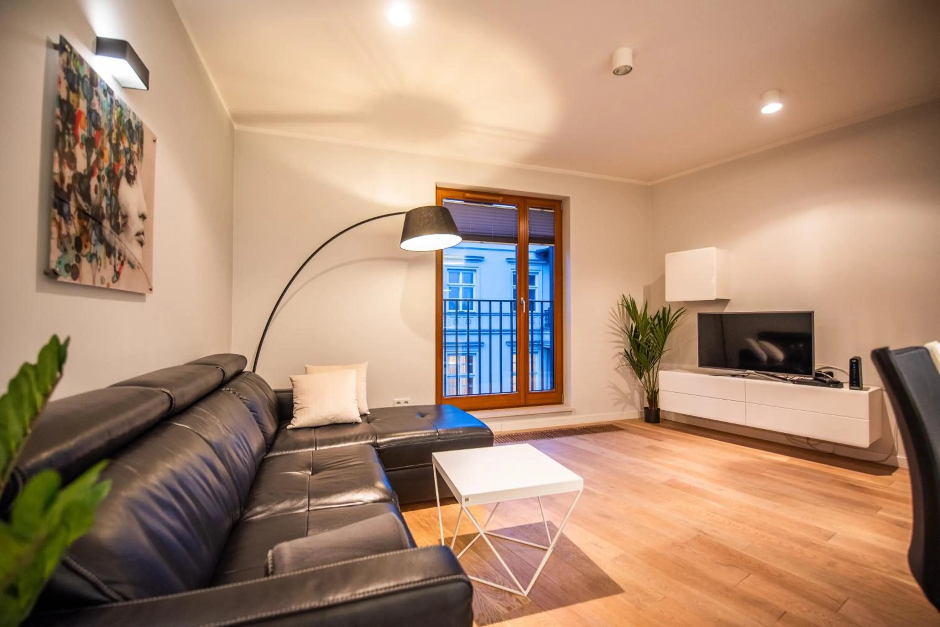 TV and multimedia in City Lights Apartments