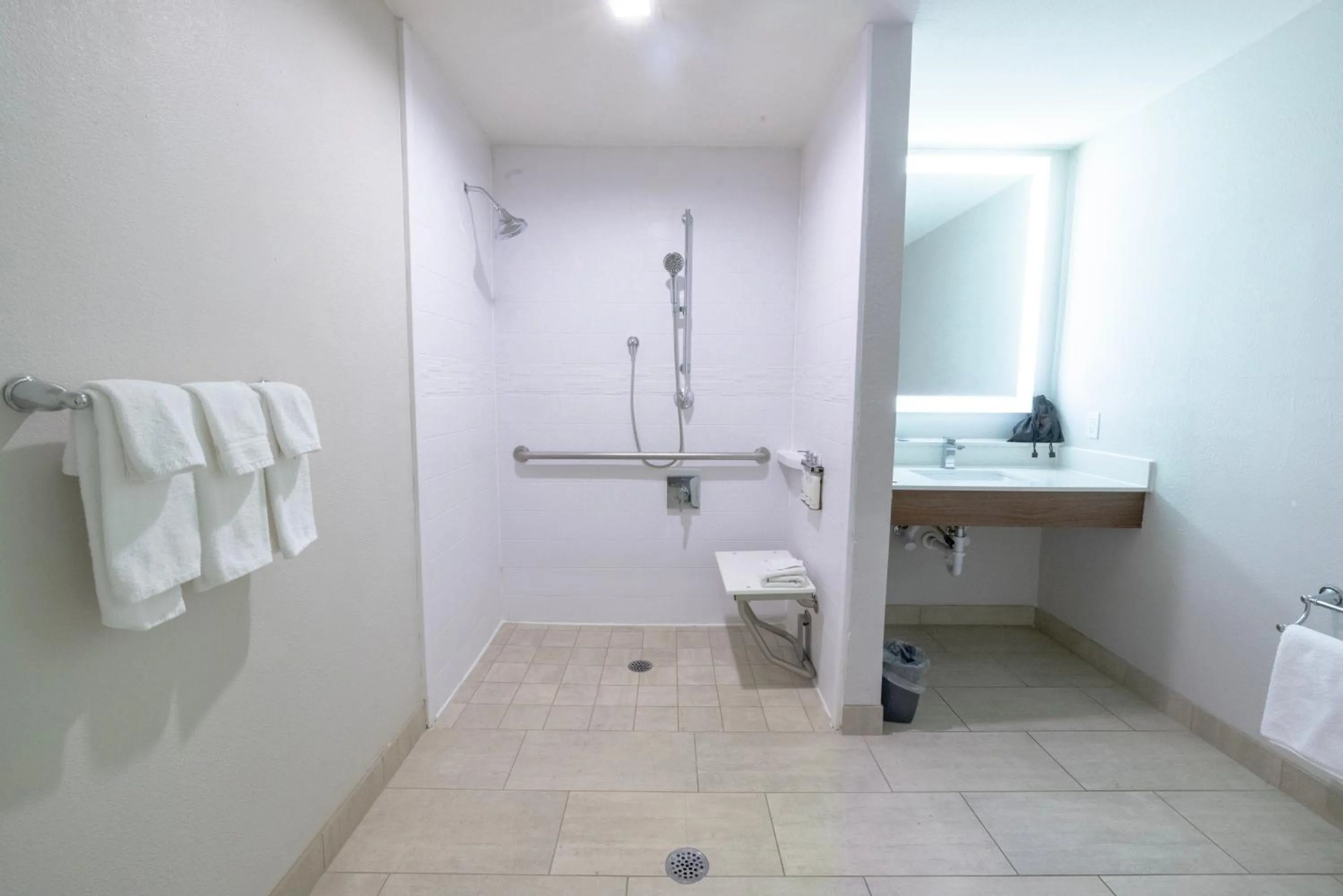 Shower in Holiday Inn Express & Suites Dallas NE Arboretum