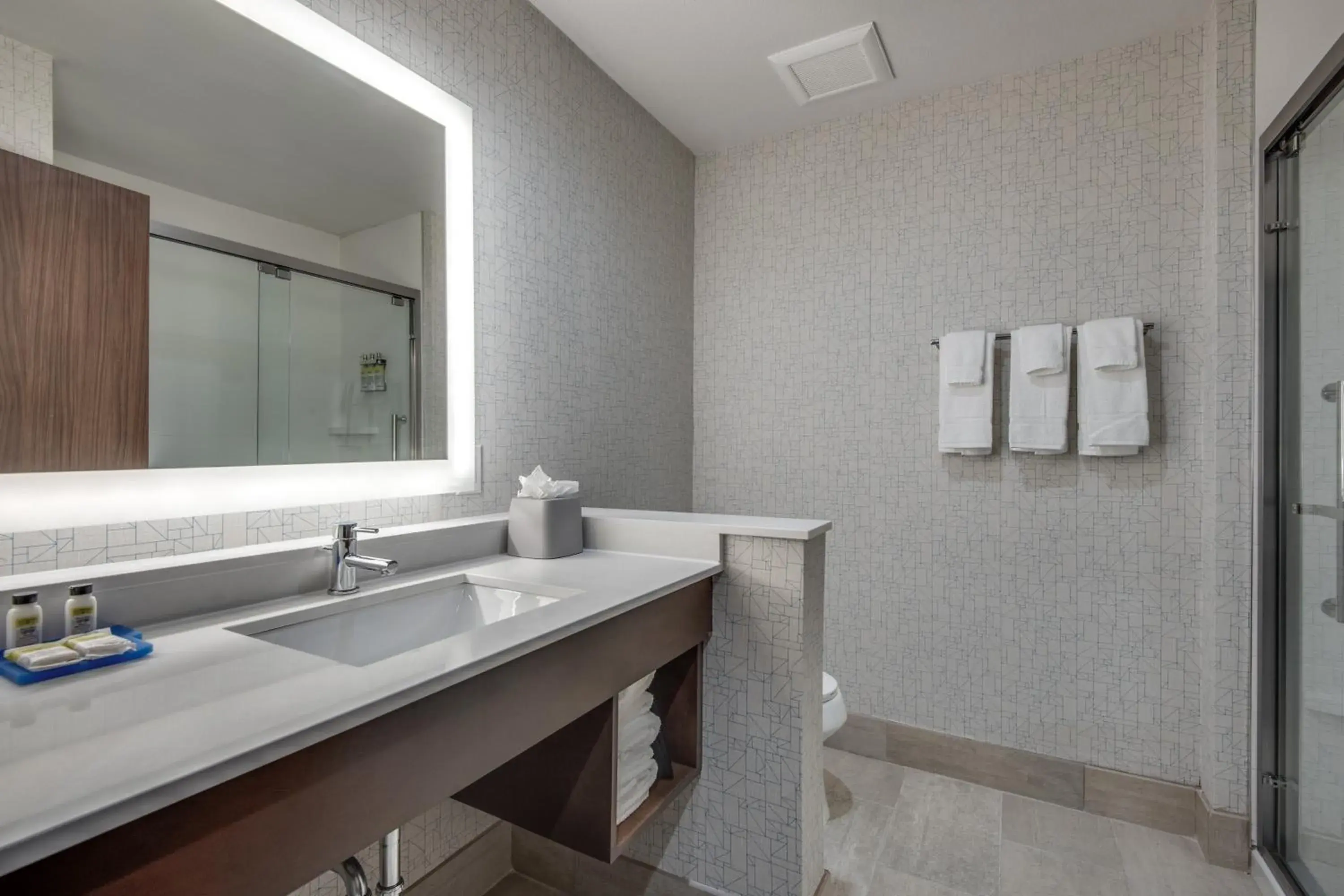King Suite in Holiday Inn Express & Suites Dallas North - Addison by IHG King Suite in Holiday Inn Express & Suites Dallas North - Addison by IHG