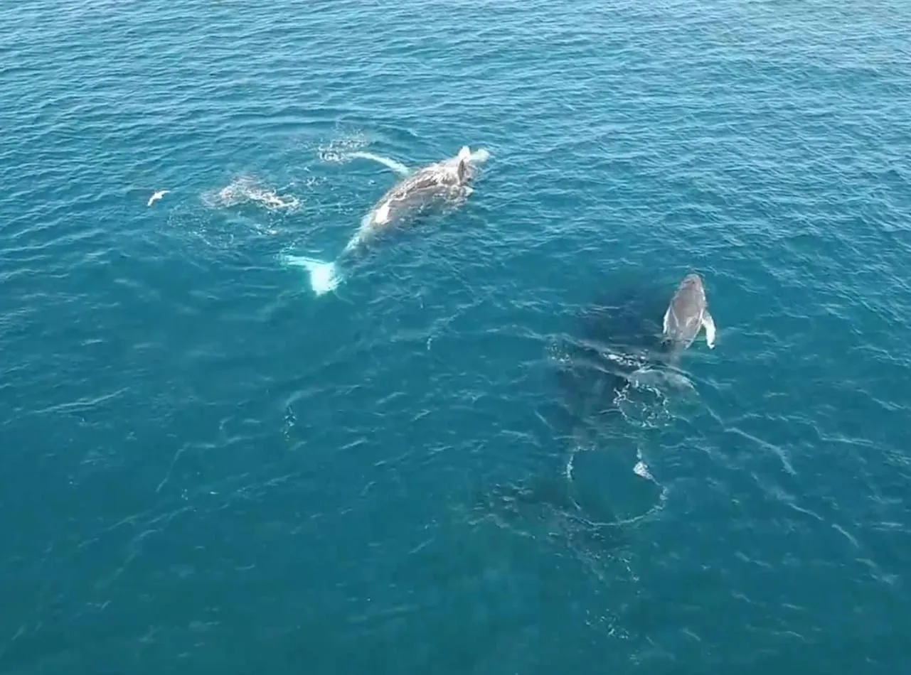 Natural landscape in Mackerel Islands