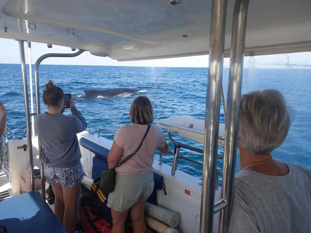 Animals in Mackerel Islands