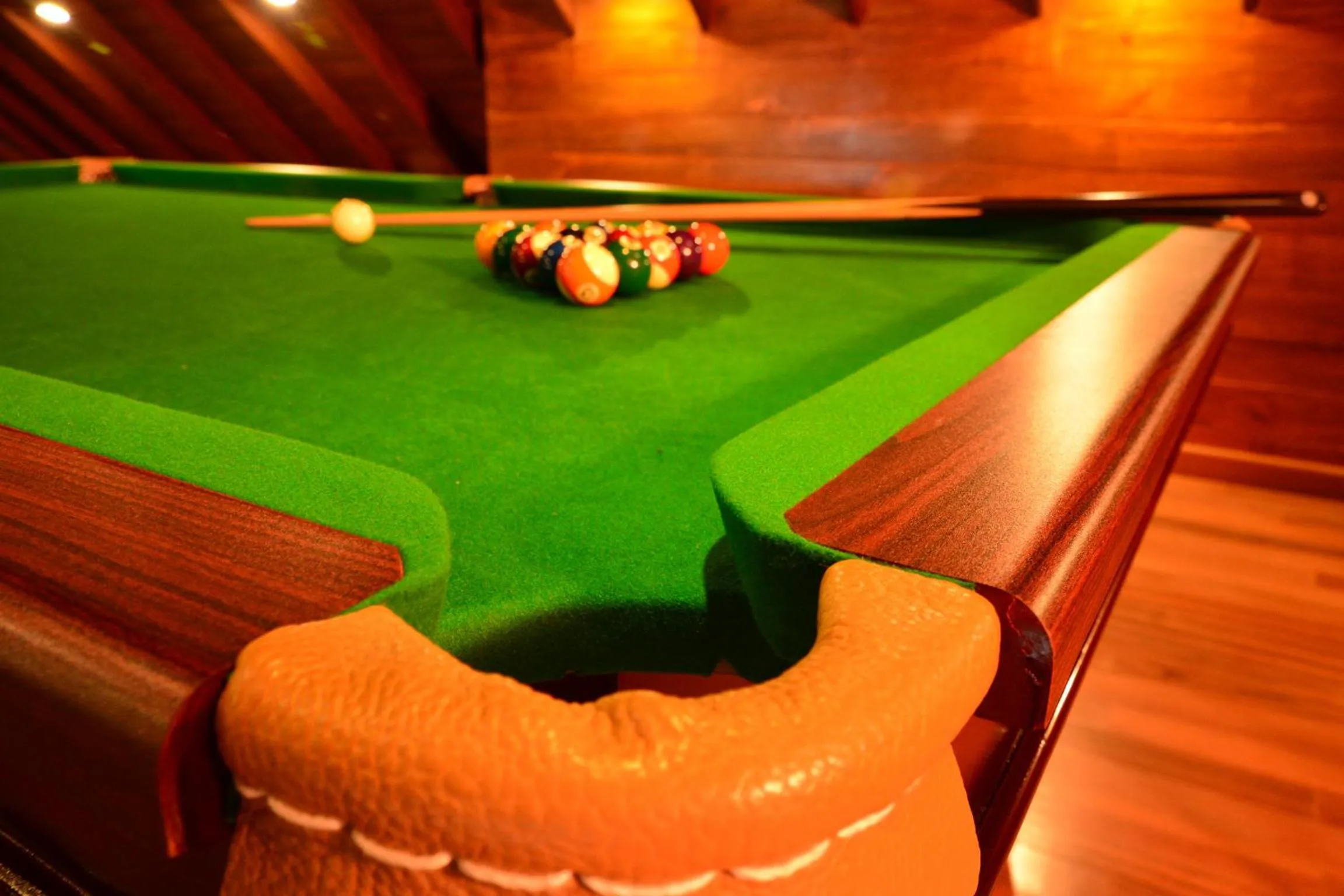 Billiard in Villa Mount Royal