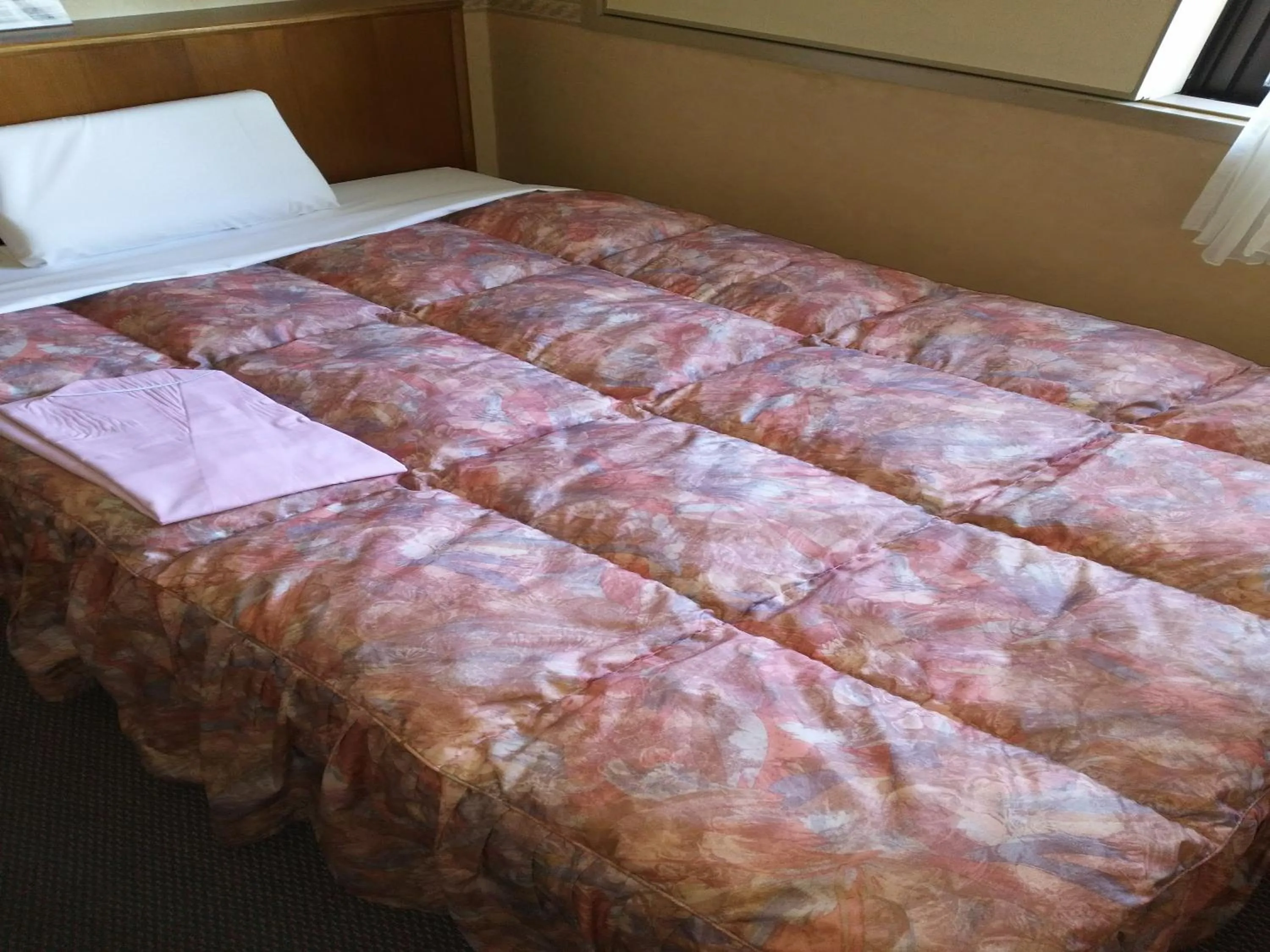 Photo of the whole room, Bed in Hotel Hyper Hills Hirosaki