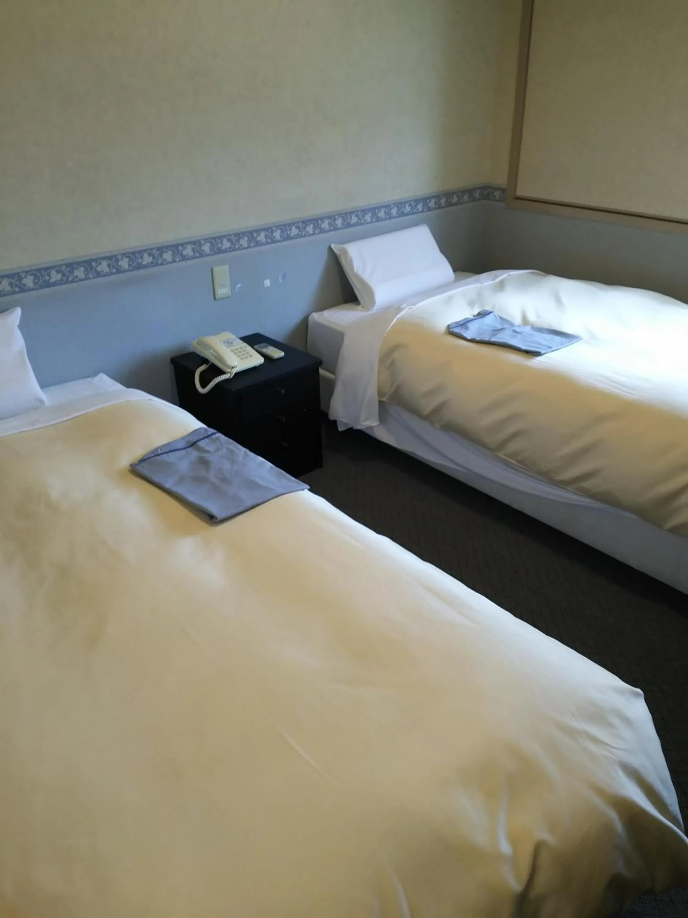 Photo of the whole room, Bed in Hotel Hyper Hills Hirosaki
