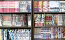 Area and facilities in Hotel Crown Hills Yuki