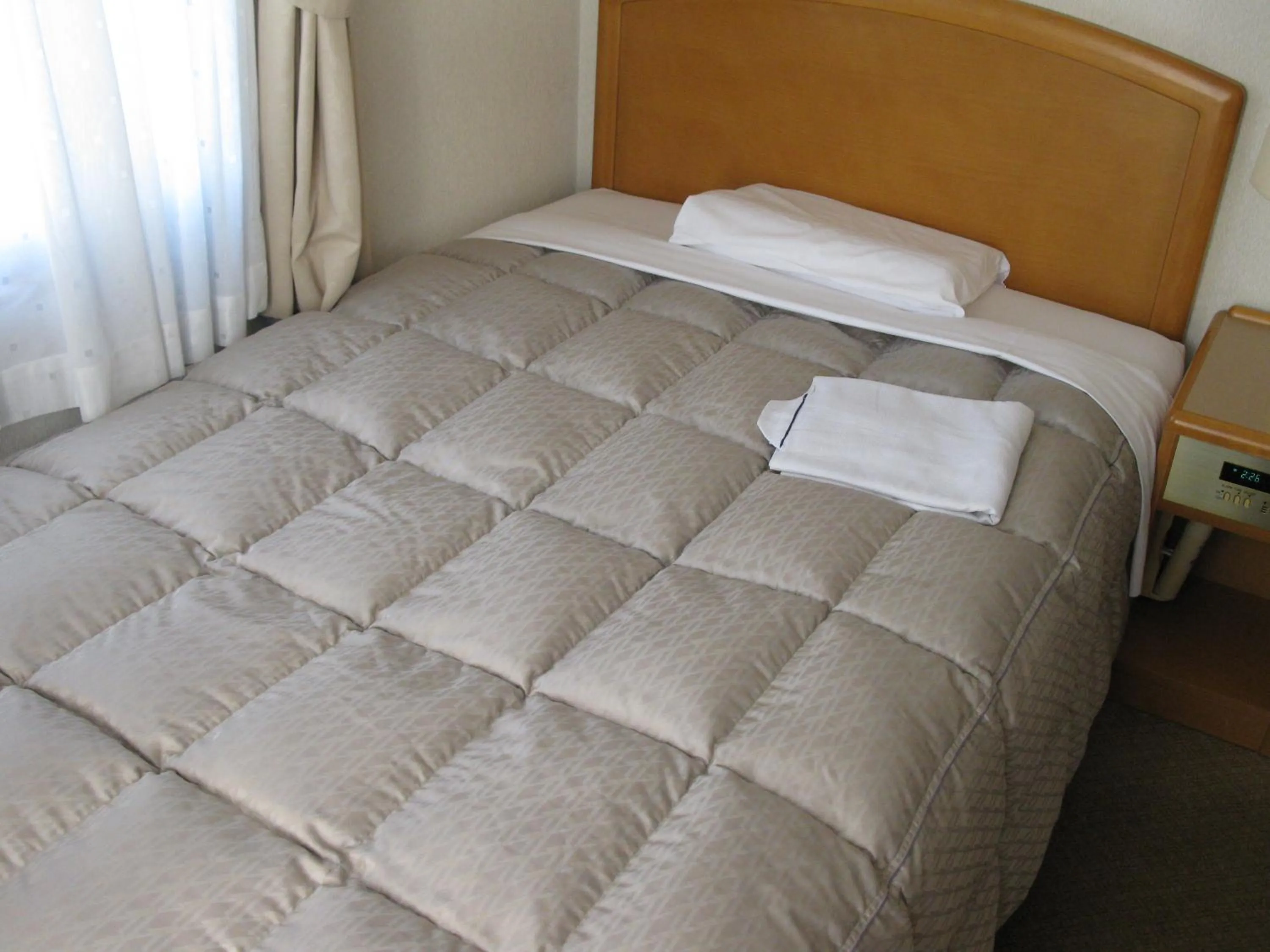 Photo of the whole room, Bed in Mito Riverside Hotel
