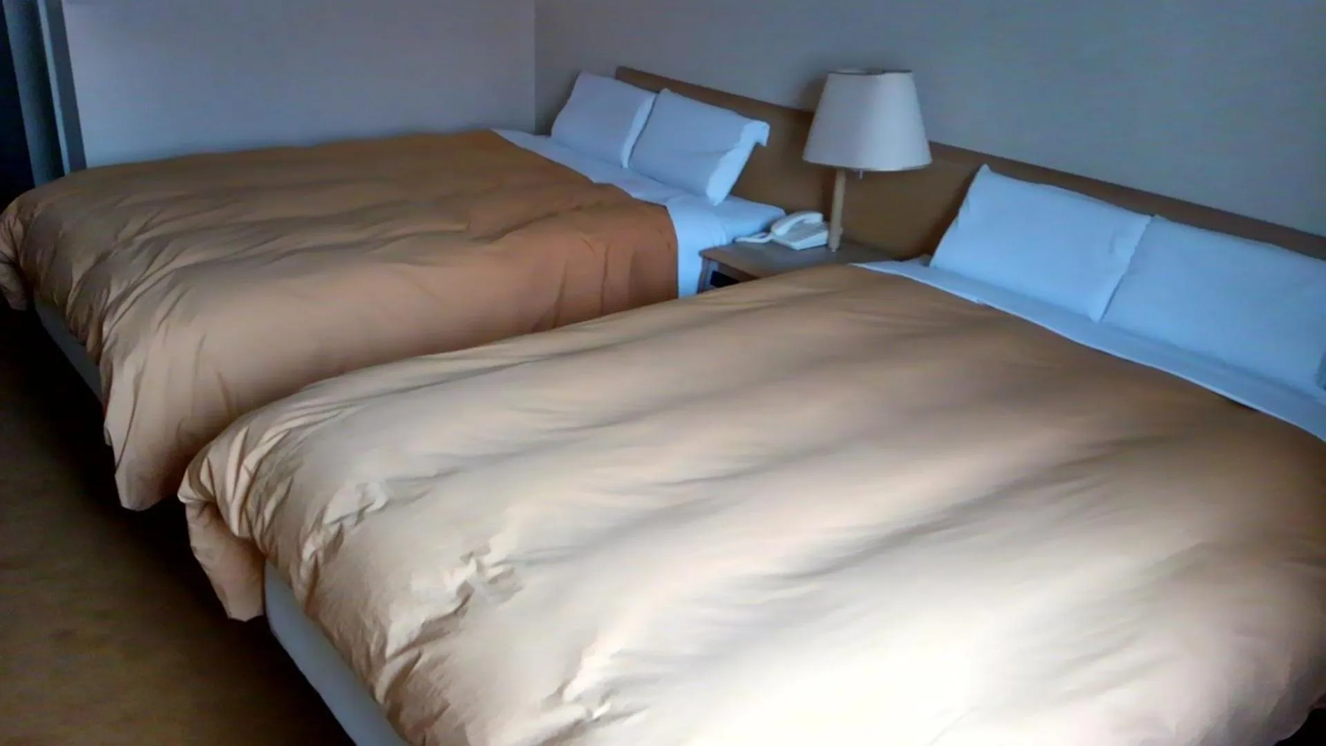 Photo of the whole room, Bed in Hotel Hitachi Hills
