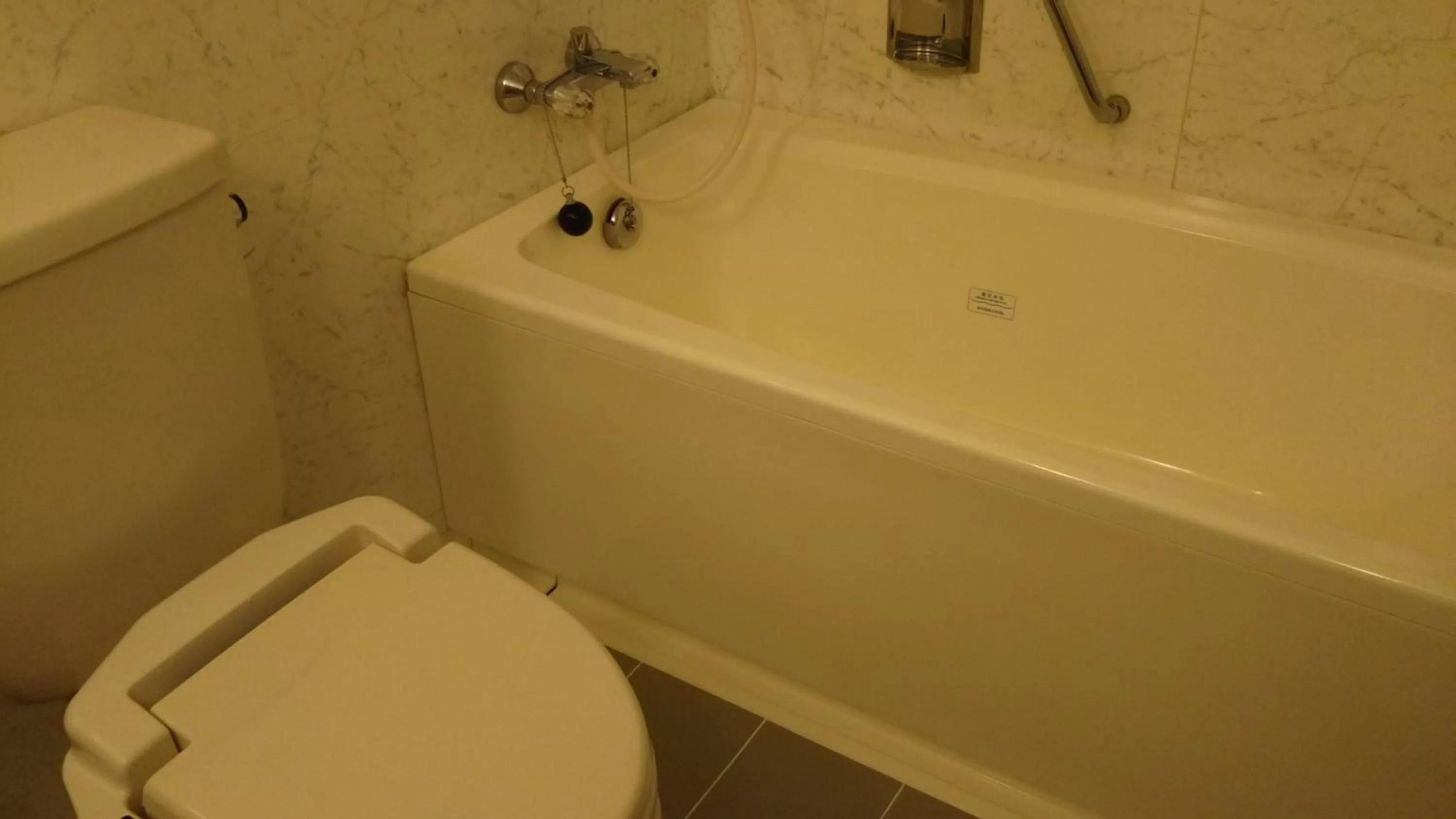 Photo of the whole room in Hotel Hitachi Hills