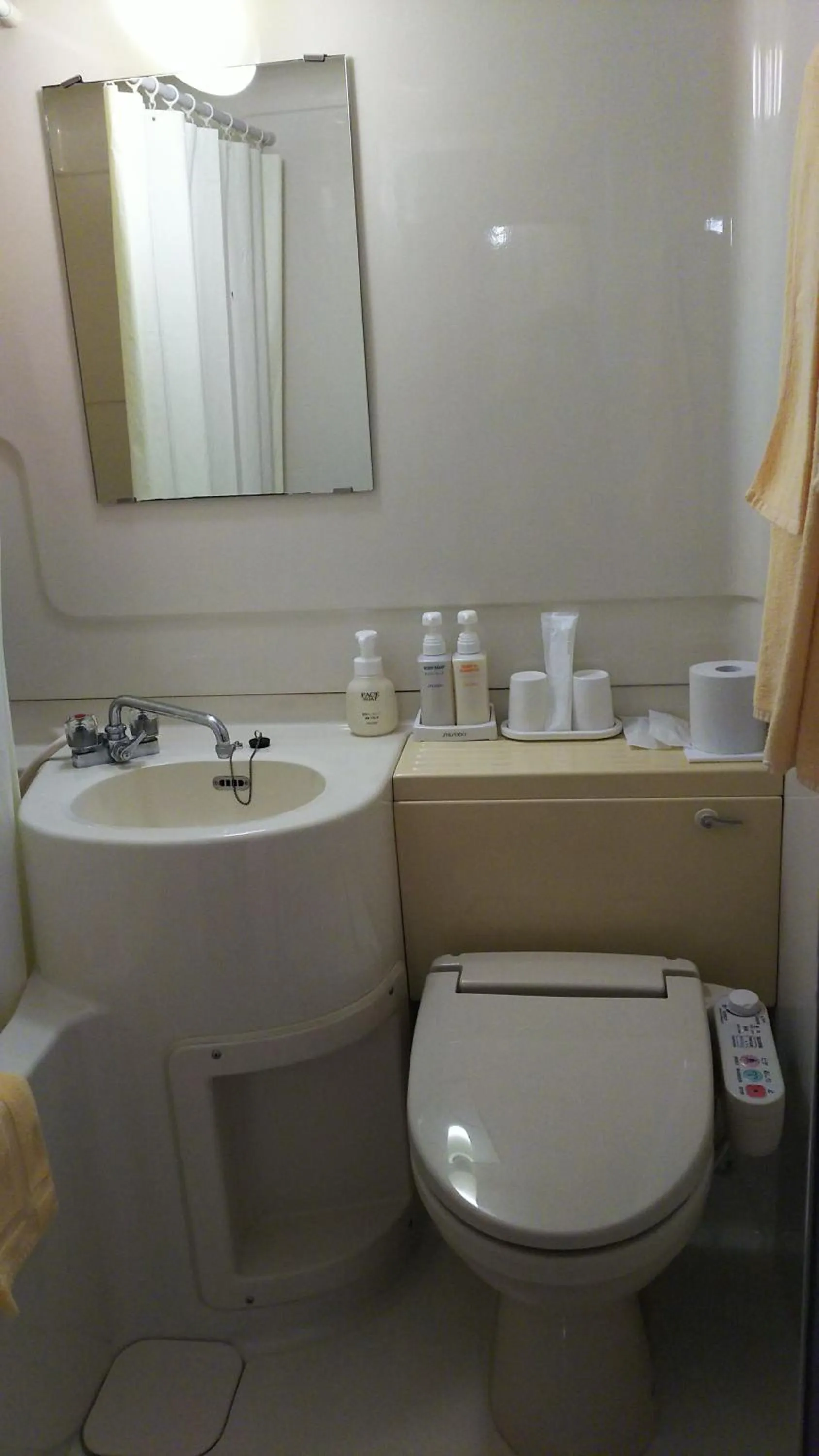 Toilet in New Central Hotel Katsuta