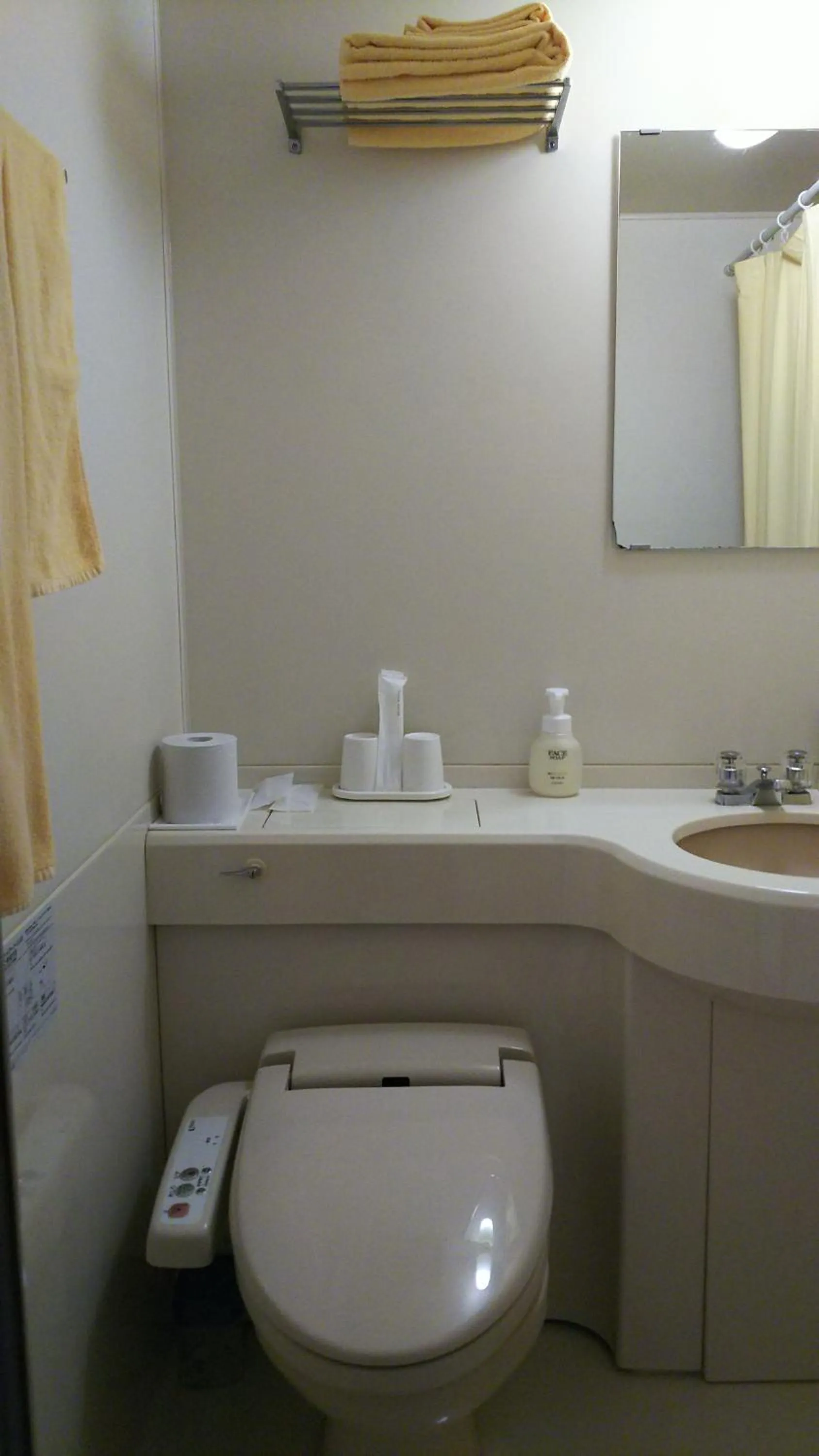 Toilet in New Central Hotel Katsuta