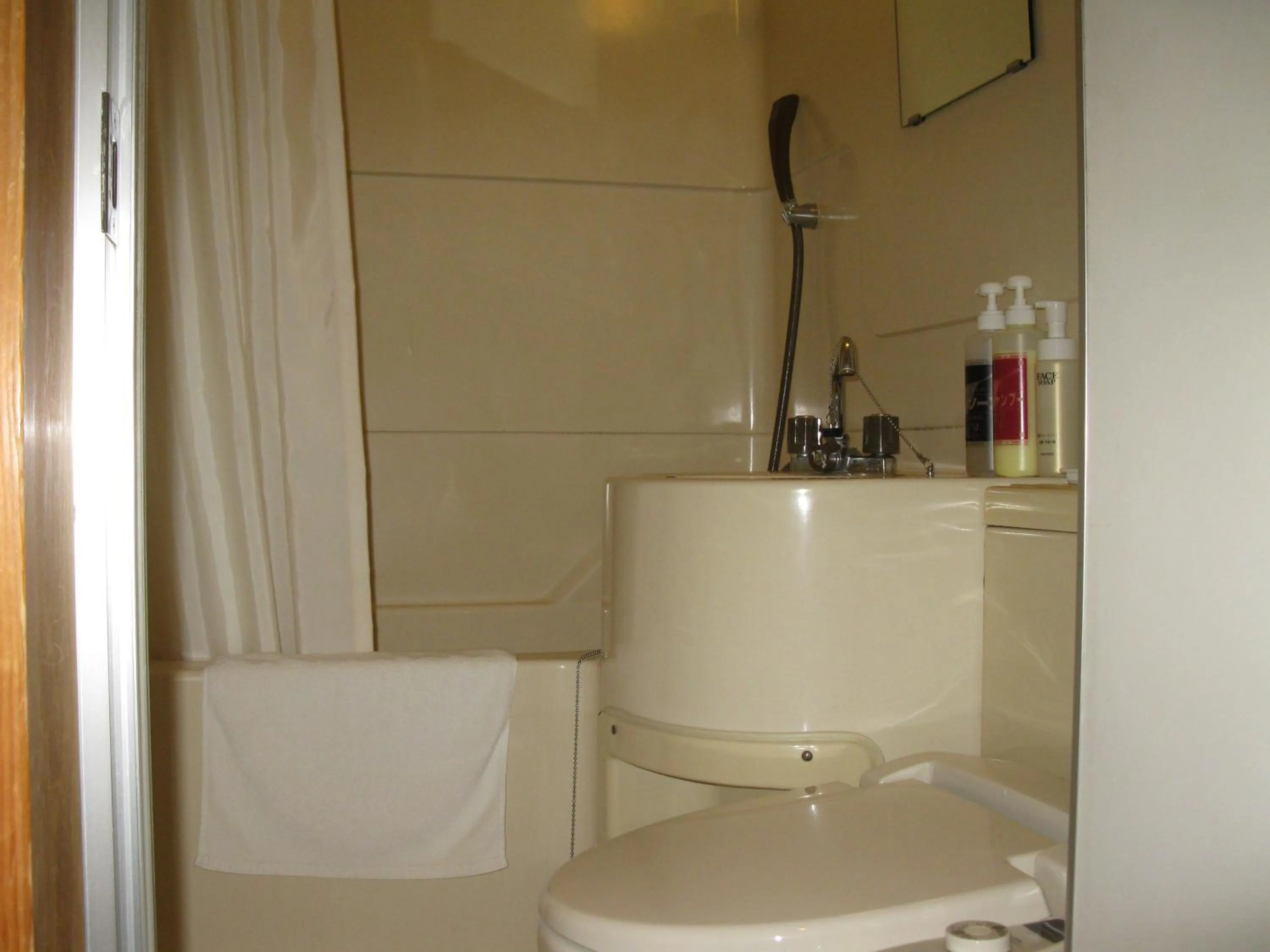 Photo of the whole room in Hotel Tsukuba Hills Umezono