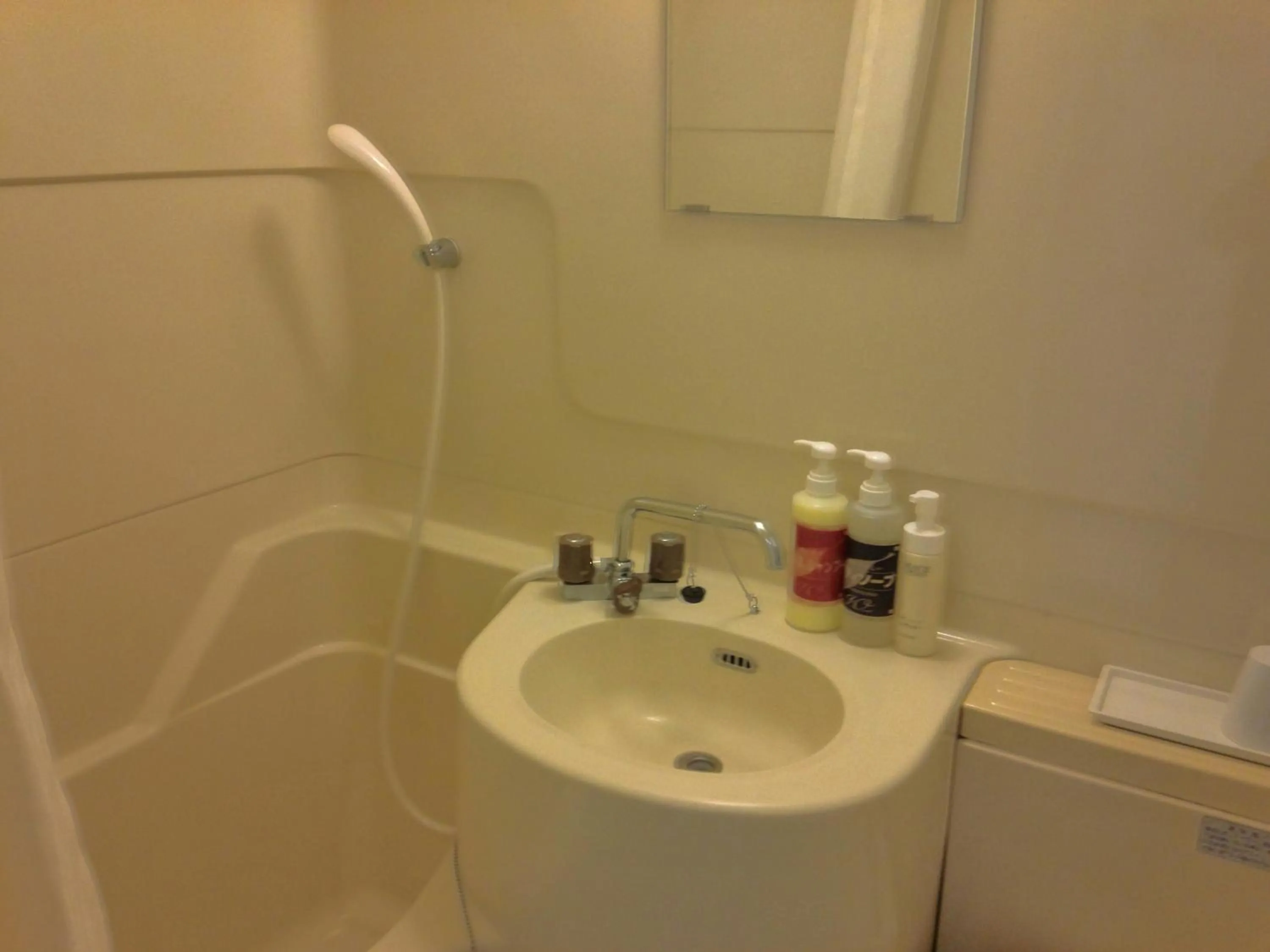 Photo of the whole room in Hotel Tsukuba Hills Umezono