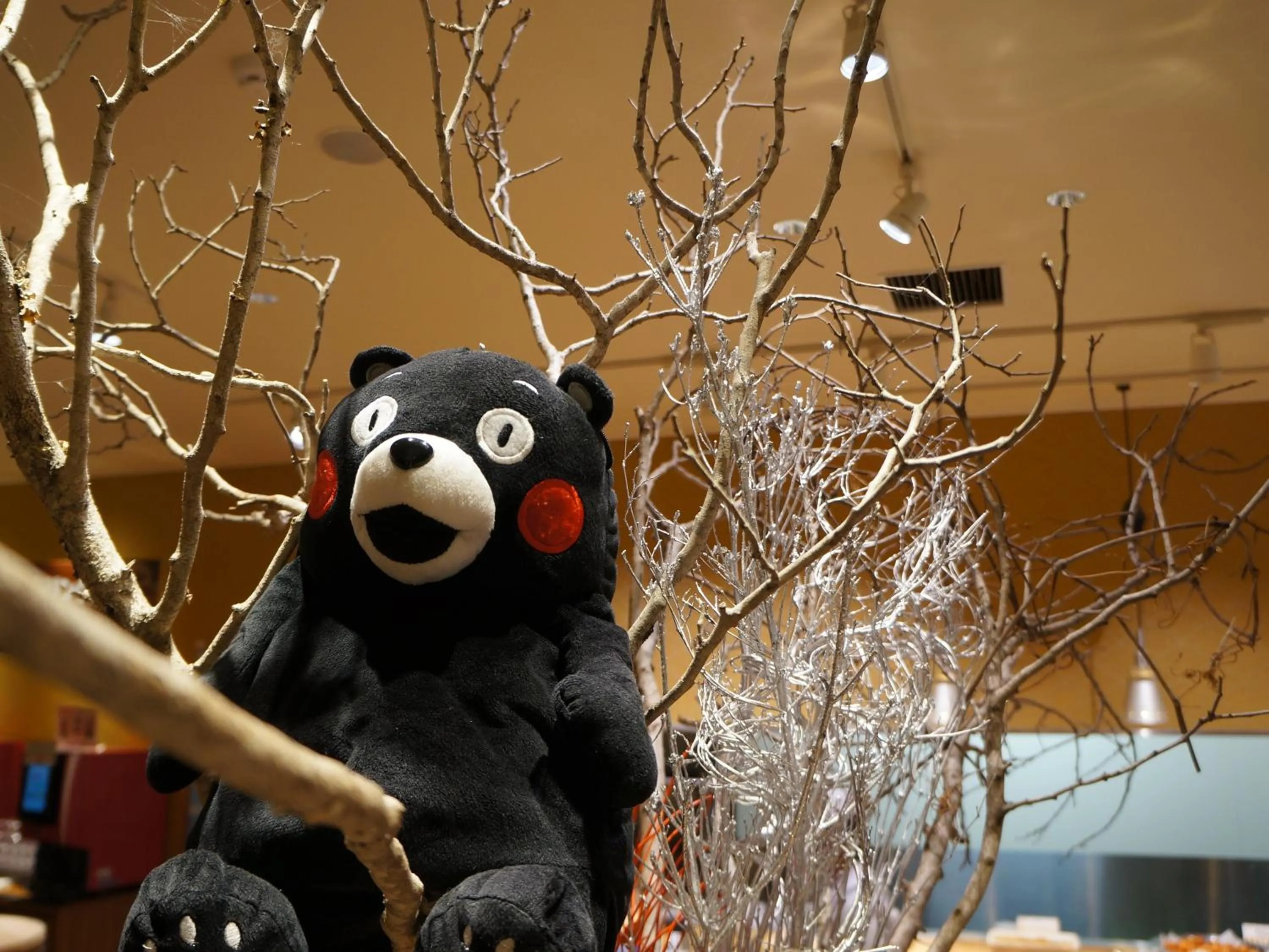 Restaurant/places to eat in Hotel Kadoman