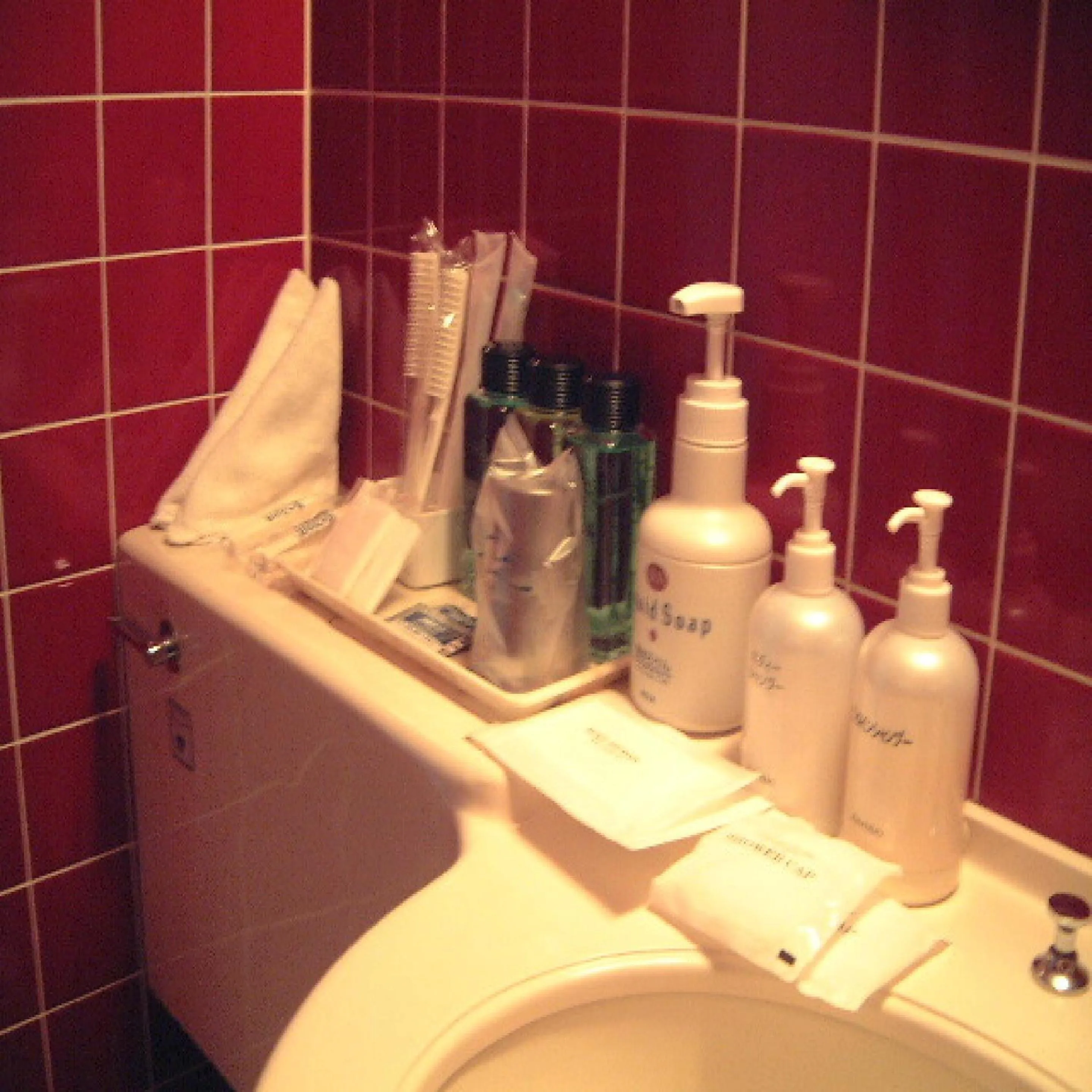 Bathroom in Niigata City Hotel