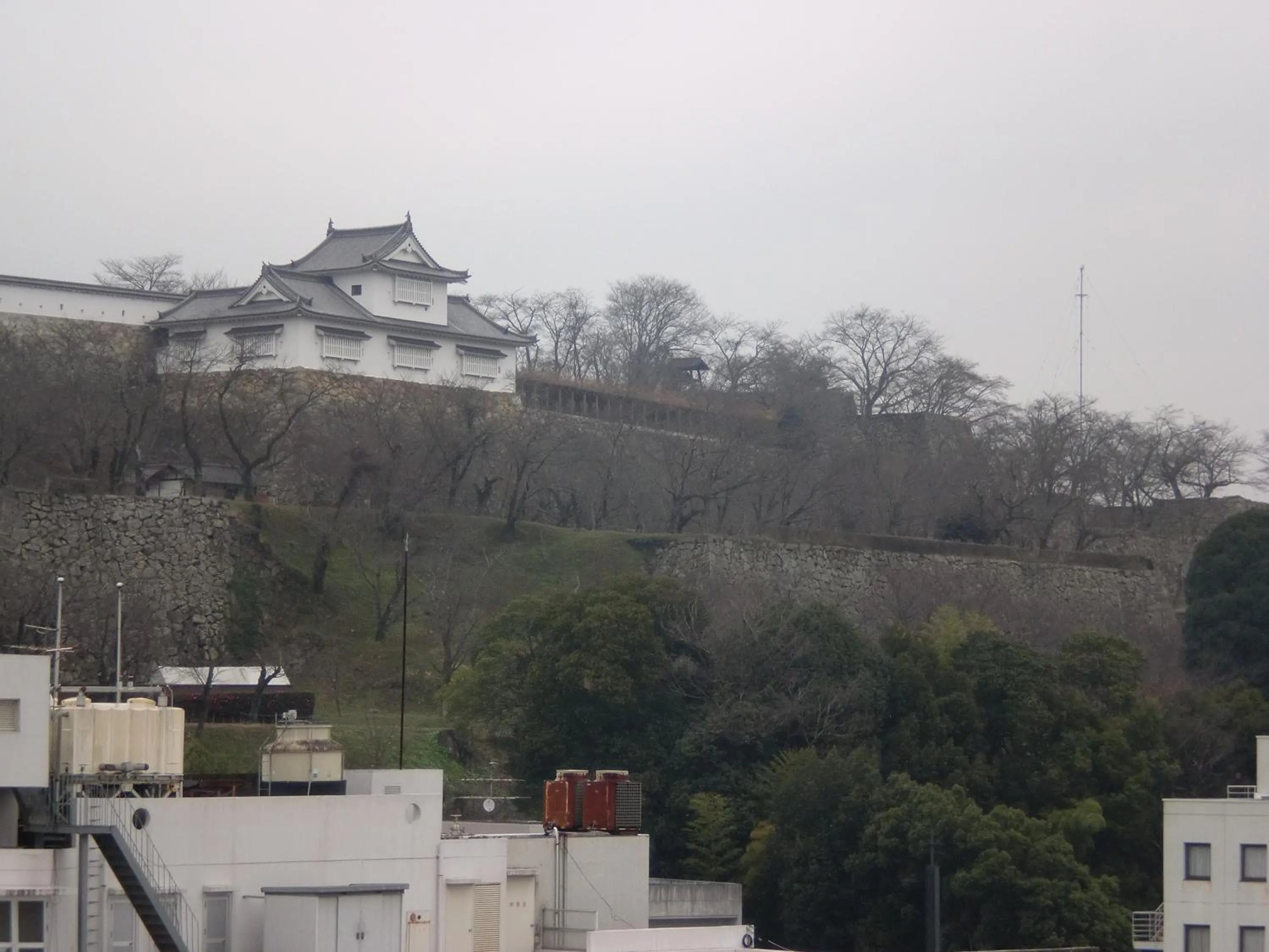 Tsuyama Central Hotel Annex