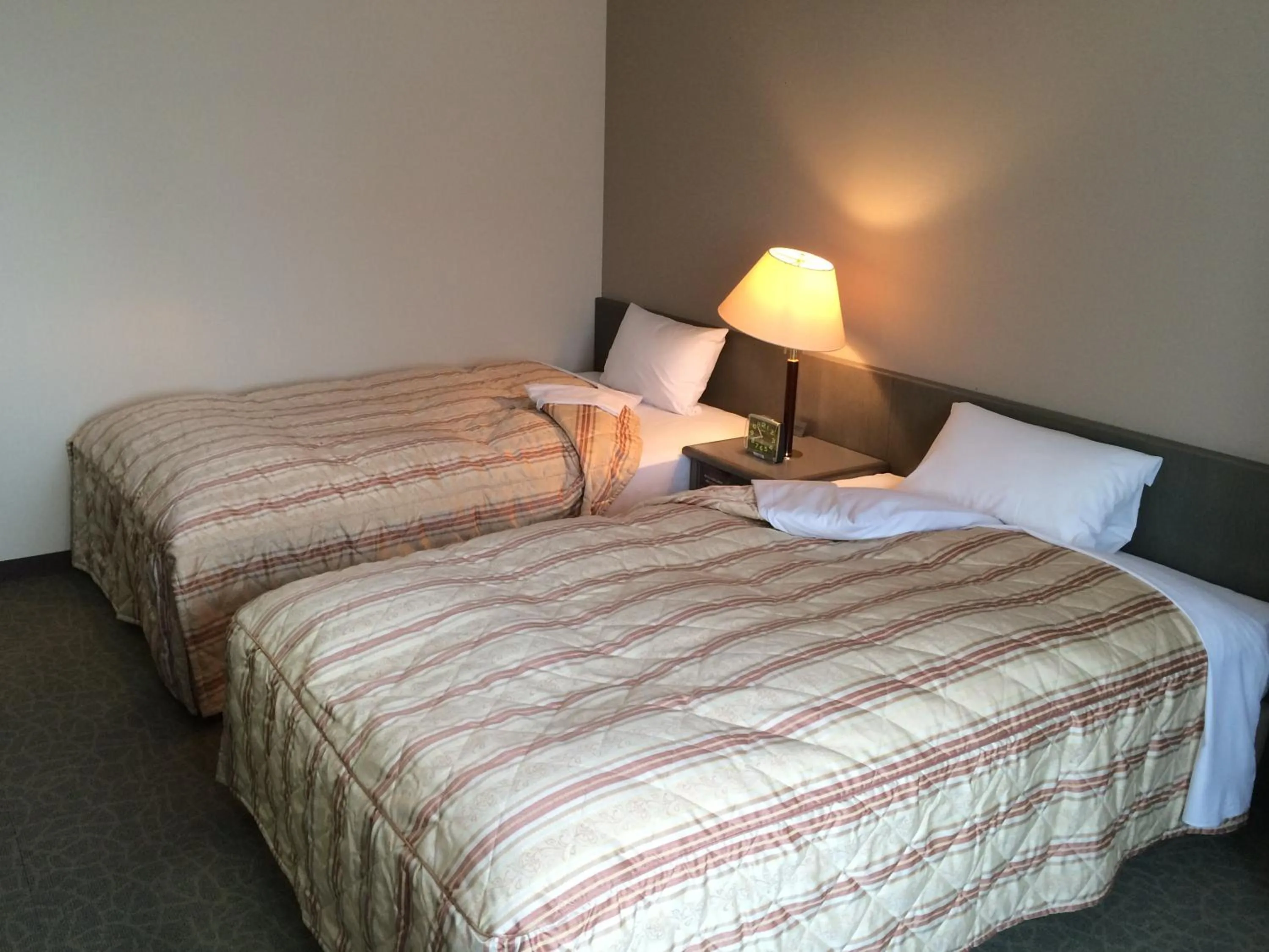 Photo of the whole room, Bed in Hotel Crown Hills Takaoka