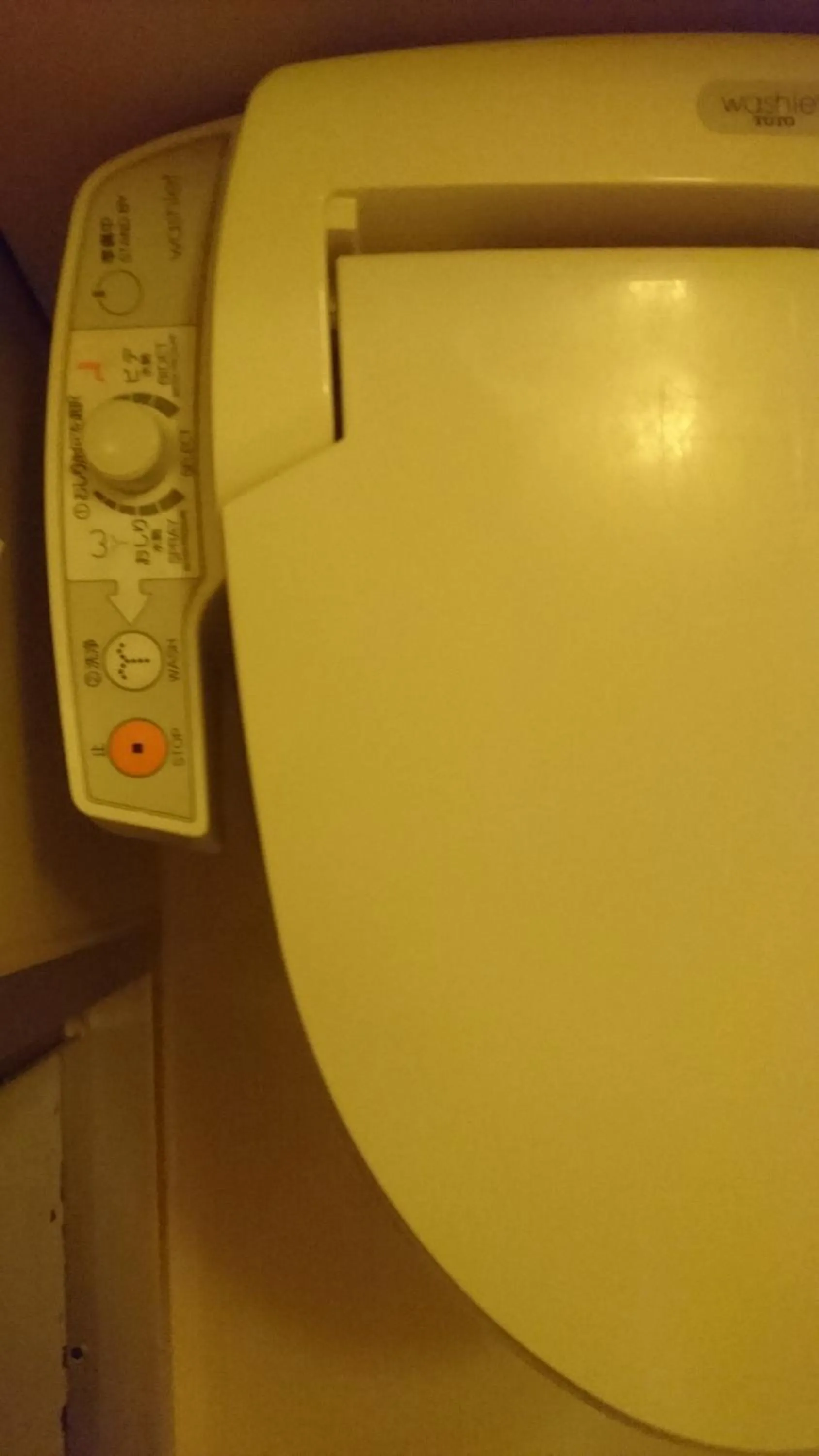 Toilet in Hotel Himeji Hills