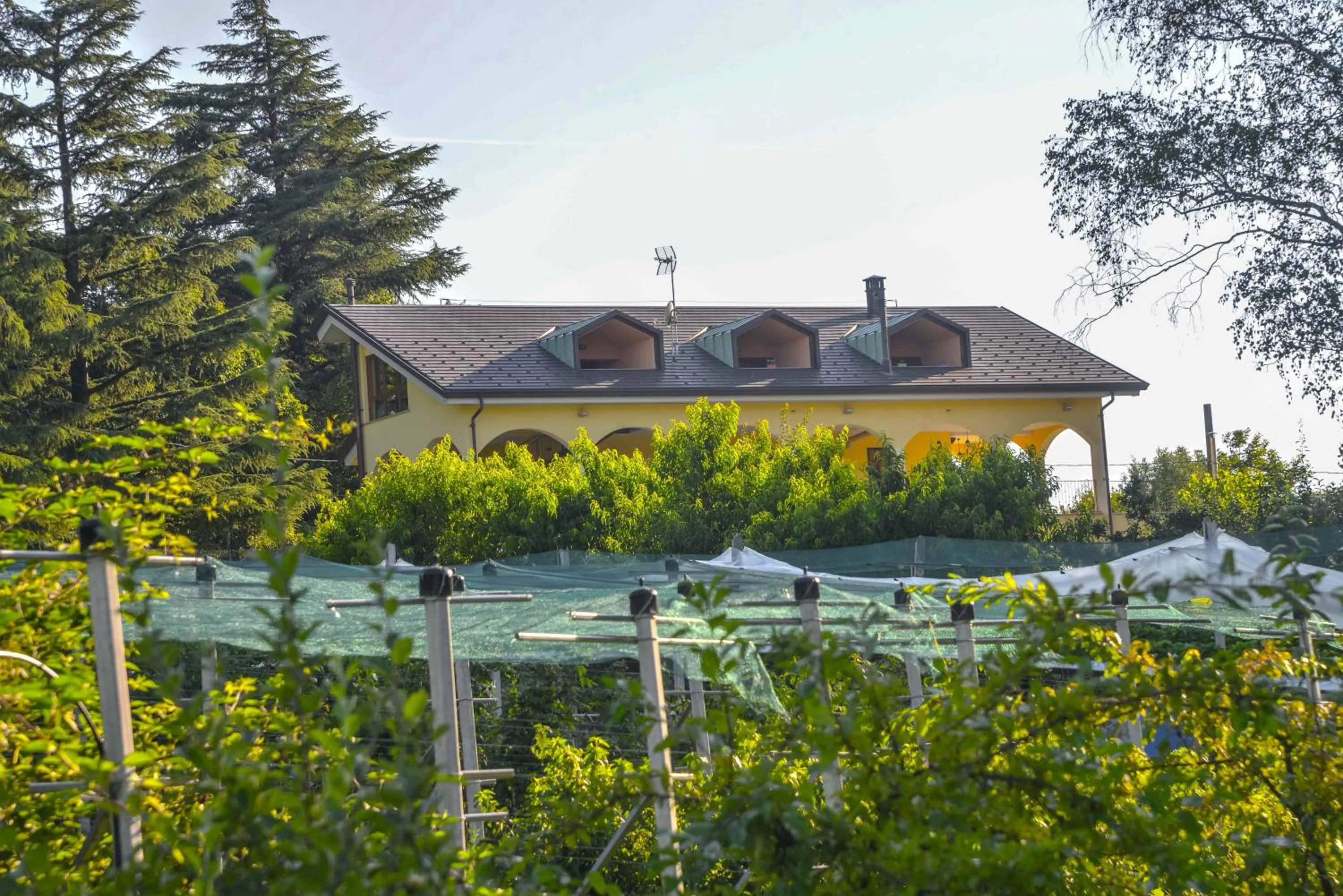 Property building in B&B Alla Roggetta