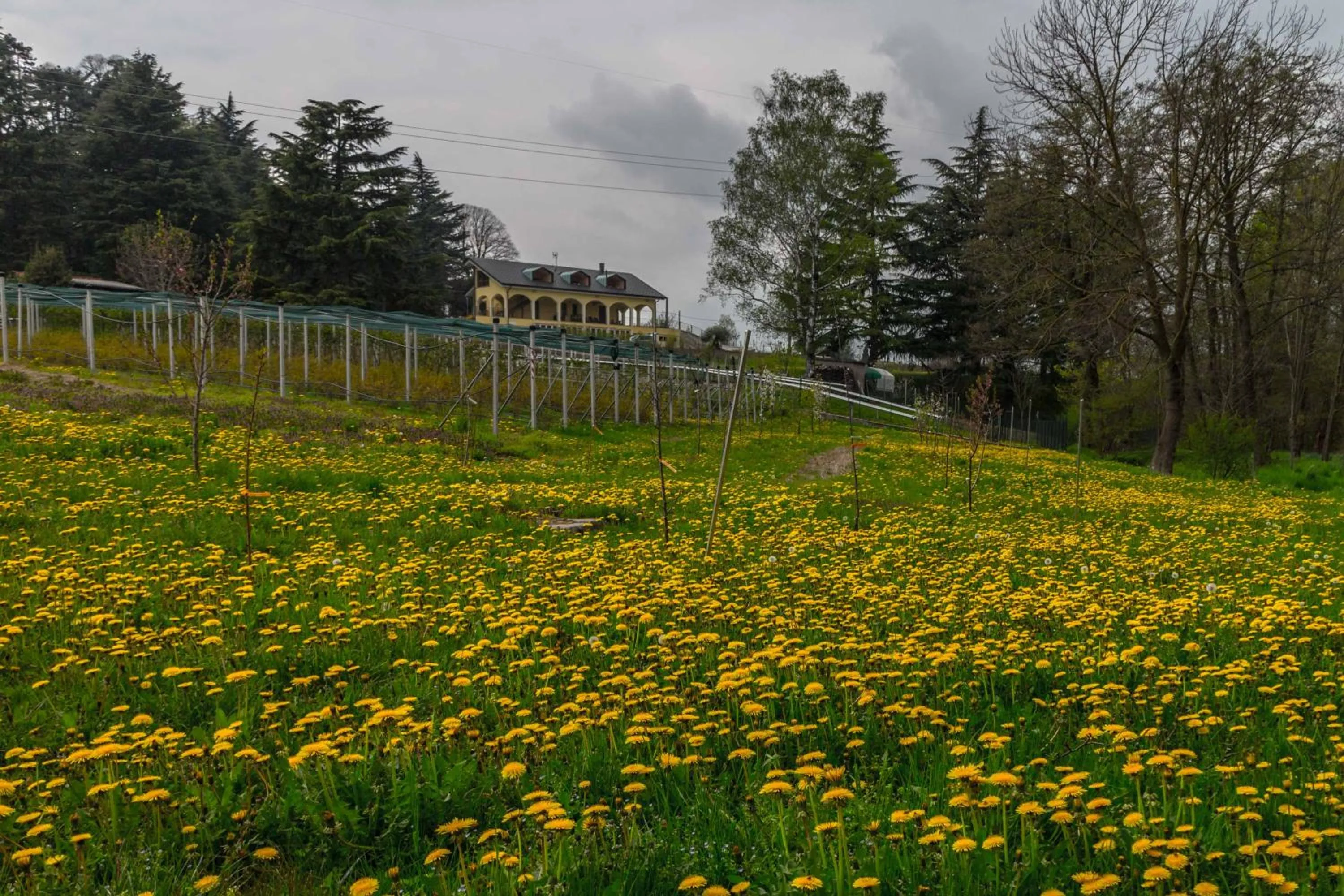 Property building in B&B Alla Roggetta