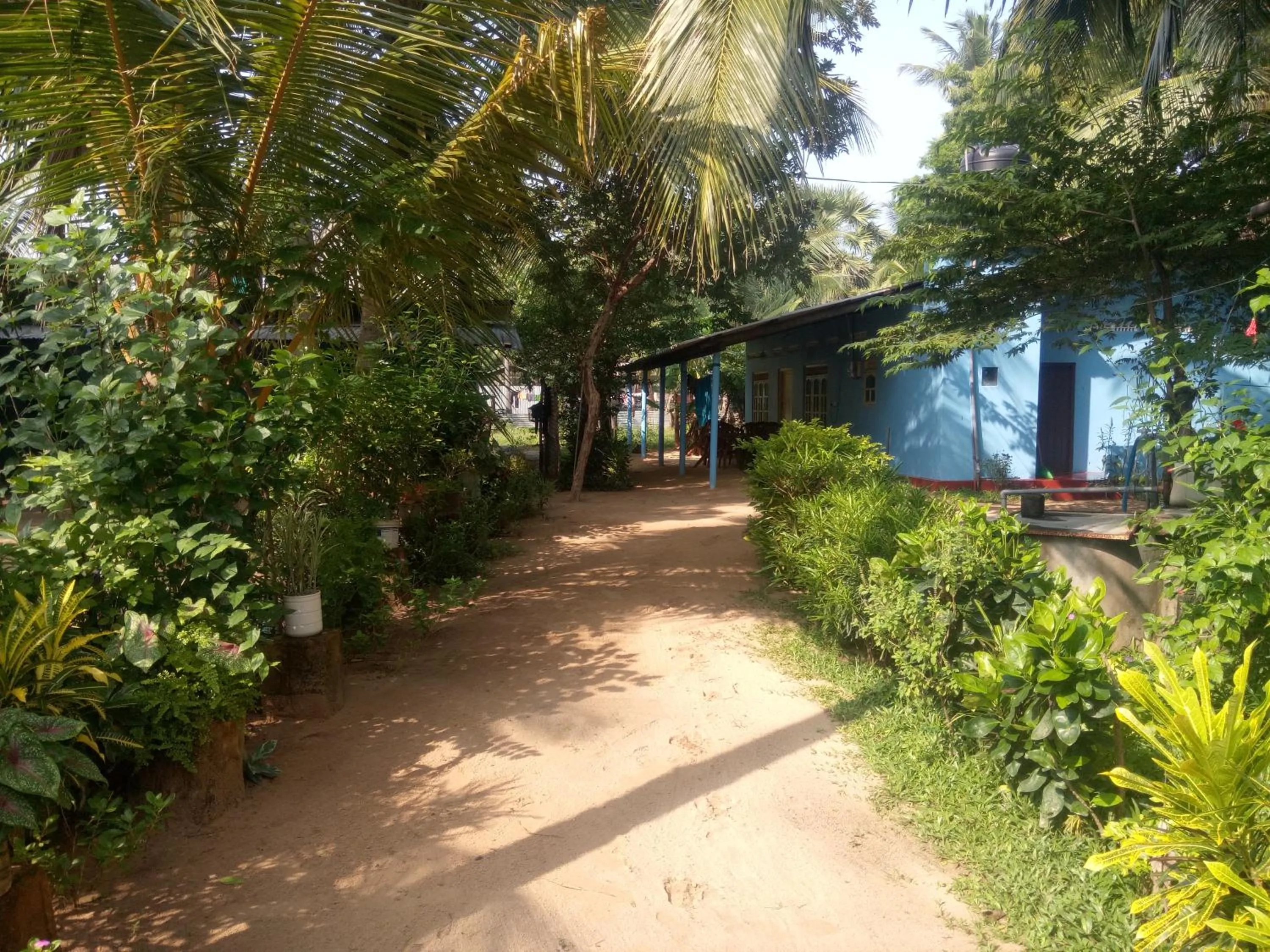 Garden in Nilaveli Beach Rooms