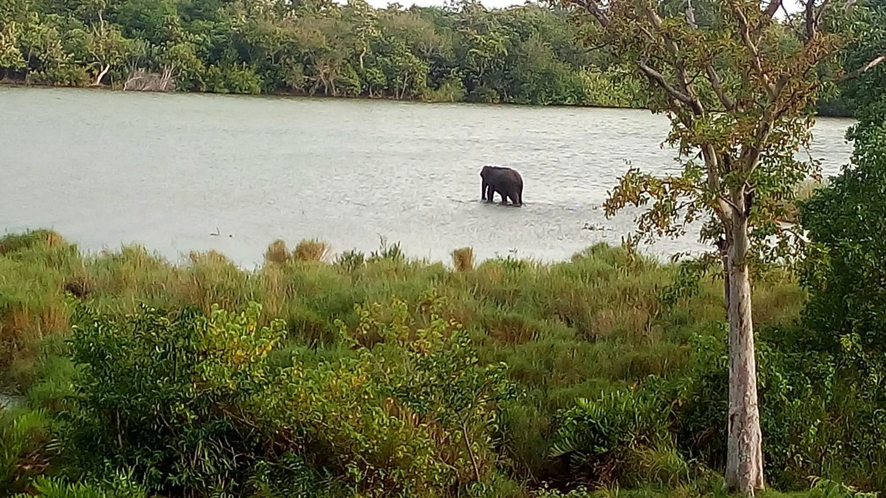 Evening entertainment in Nilaveli Beach Rooms