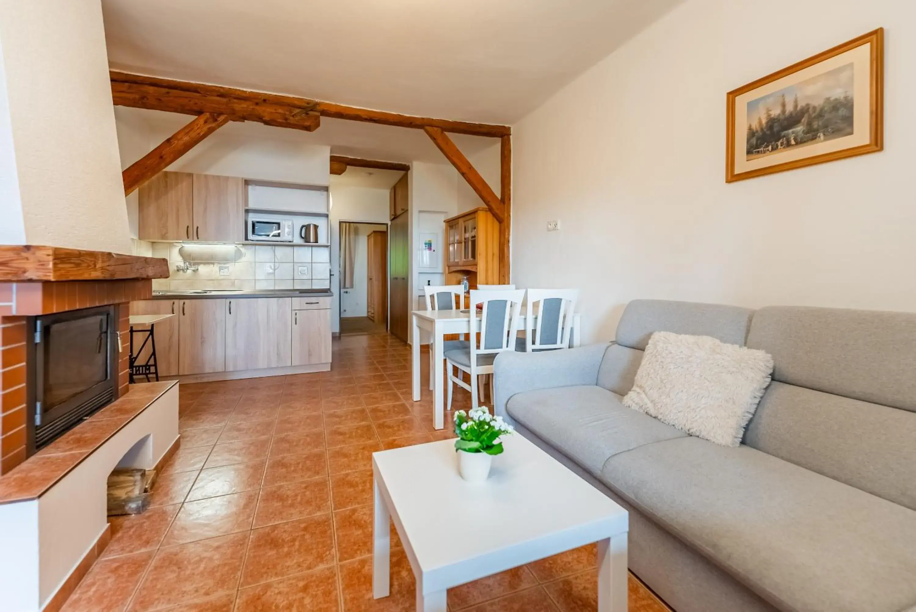 Apartment with Mountain View - single occupancy in Wellness hotel Chata Jana Apartment with Mountain View - single occupancy in Wellness hotel Chata Jana