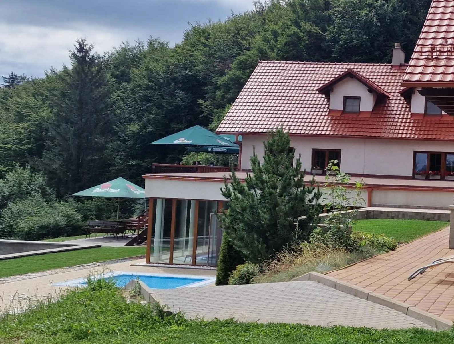 Swimming pool in Wellness hotel Chata Jana