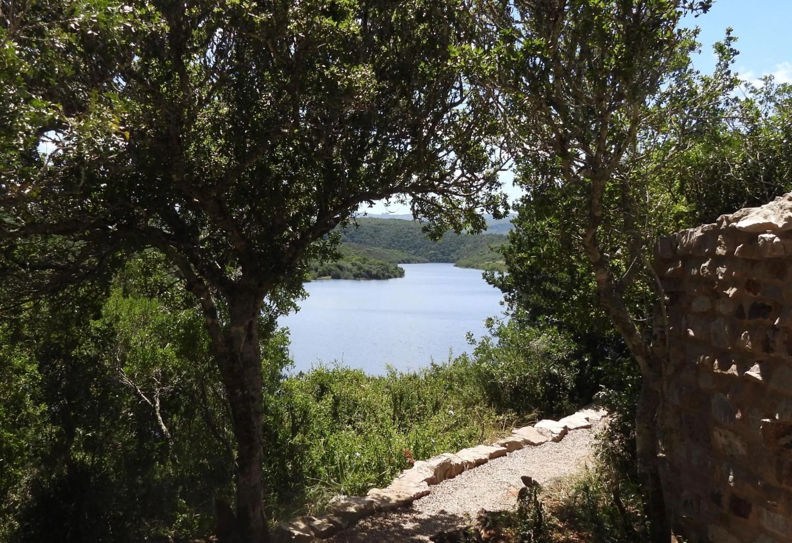 View (from property/room) in African Safari Lodge