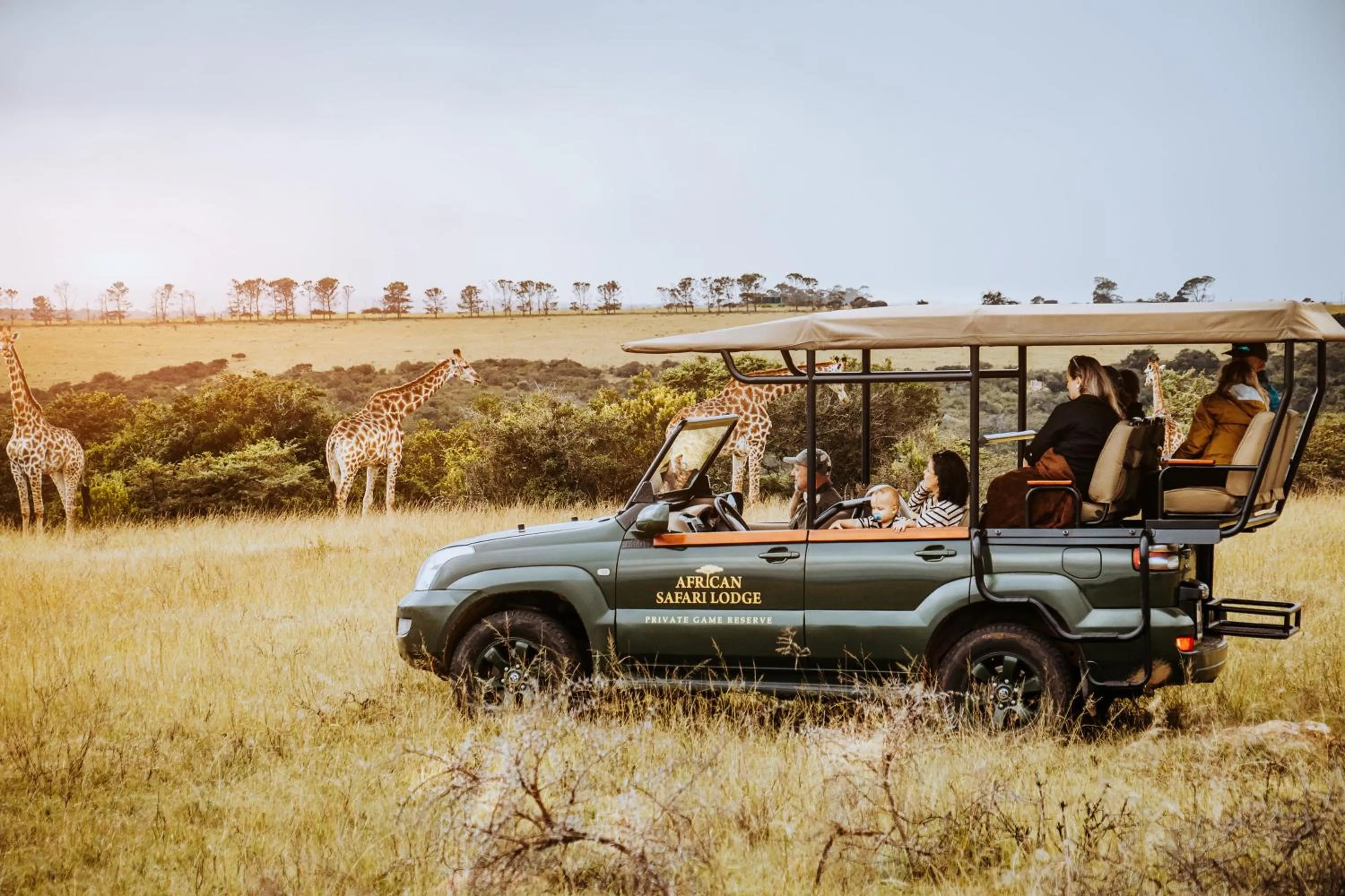 Activities in African Safari Lodge