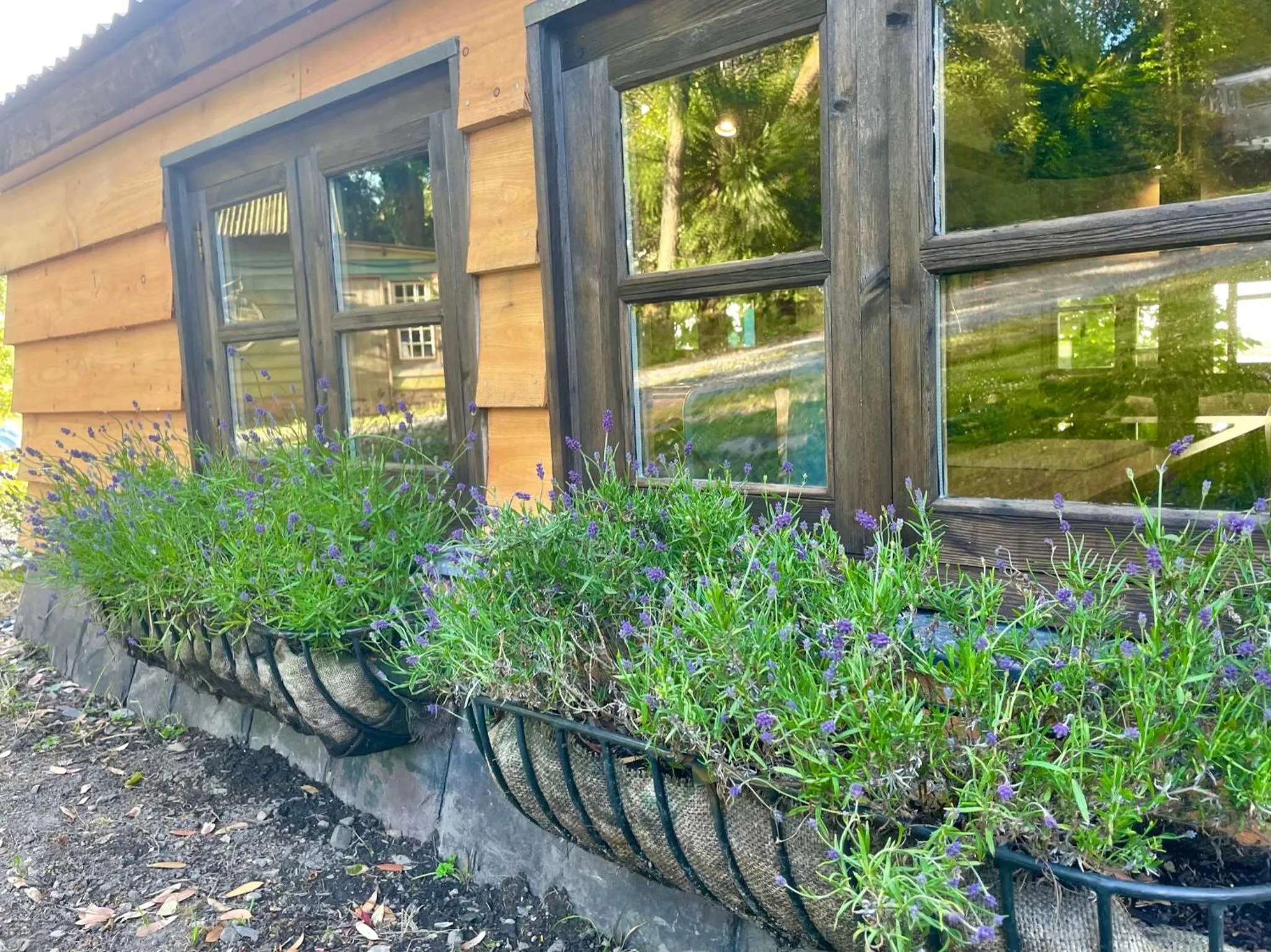 Garden in Faraway Follies