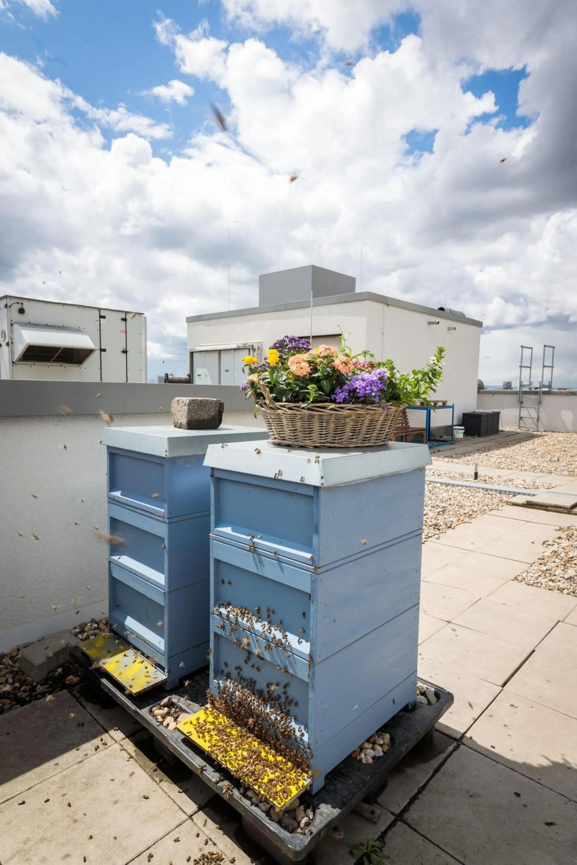 Property building in Radisson Blu Hotel, Mannheim