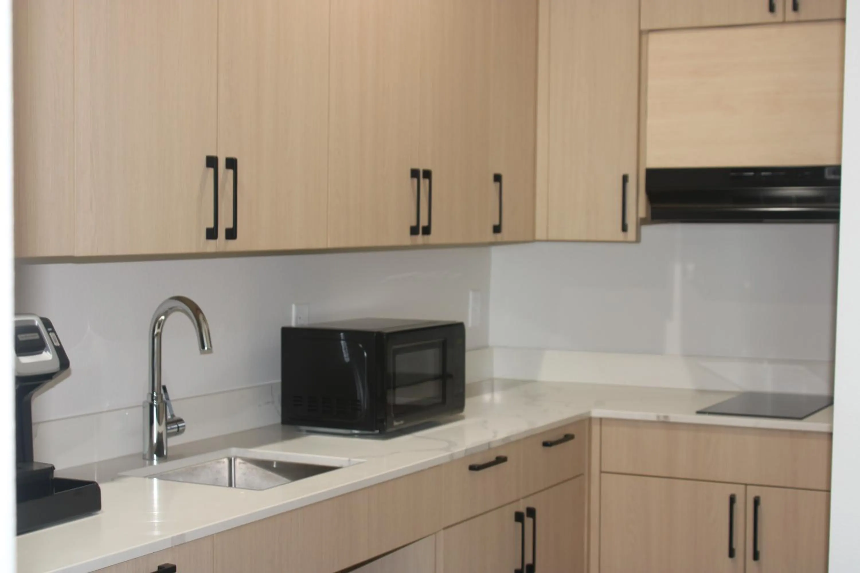 Kitchen or kitchenette in Hotel Lydia
