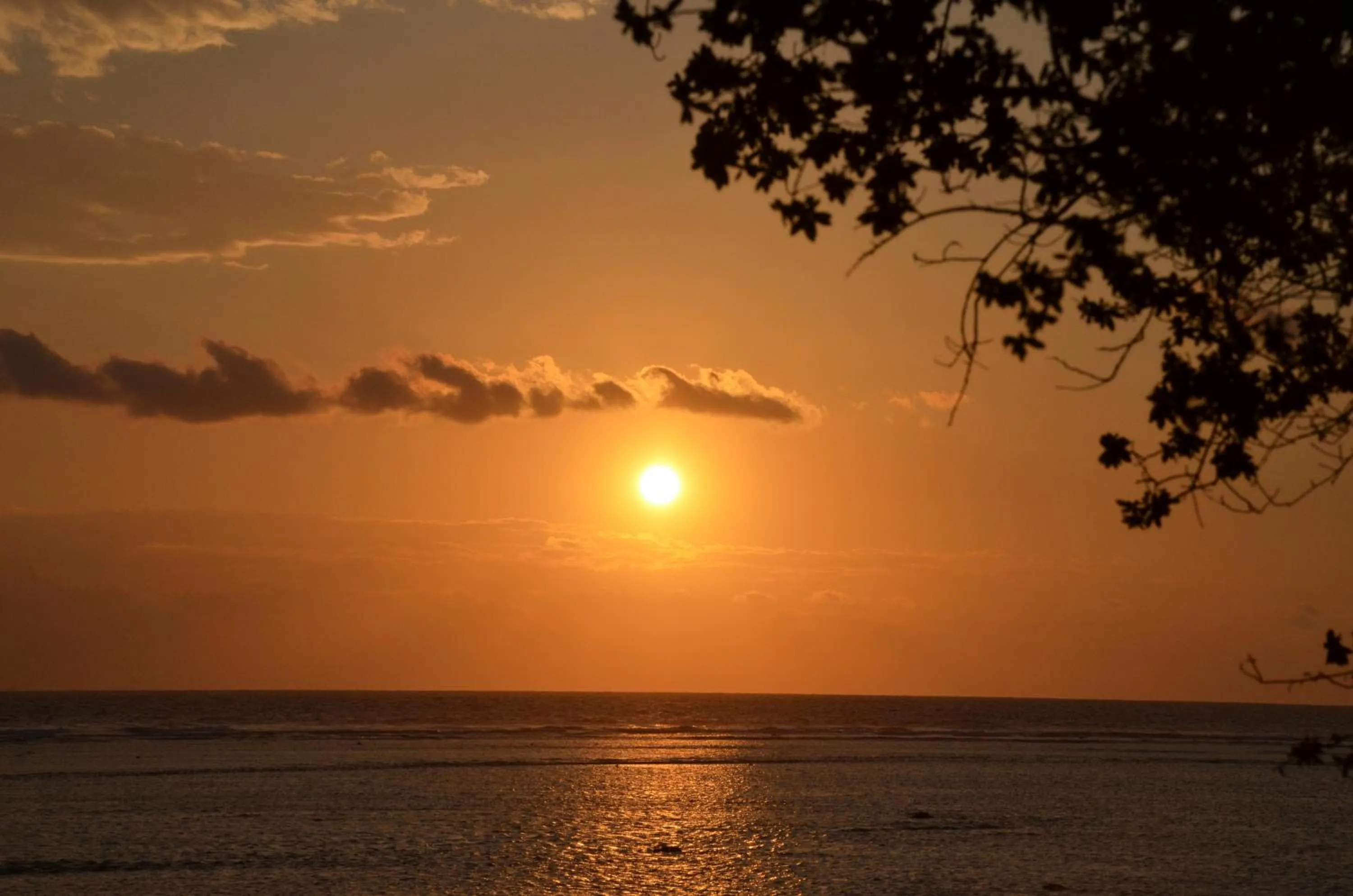 Beach in Serene Beach Villa