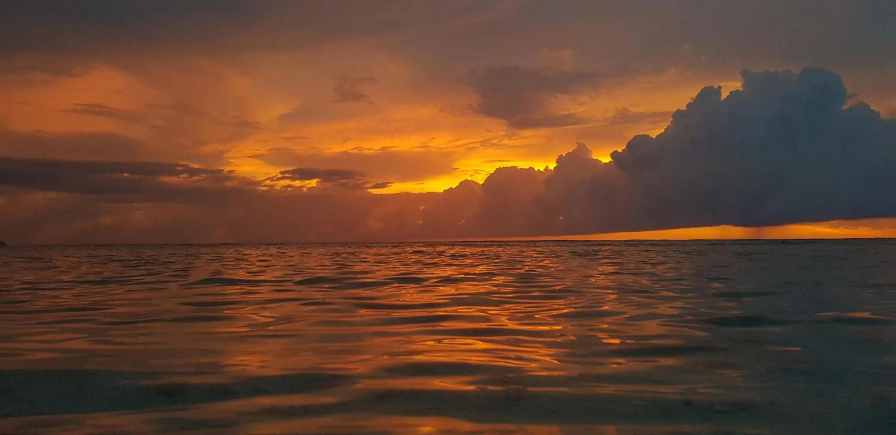 Sea view in Serene Beach Villa