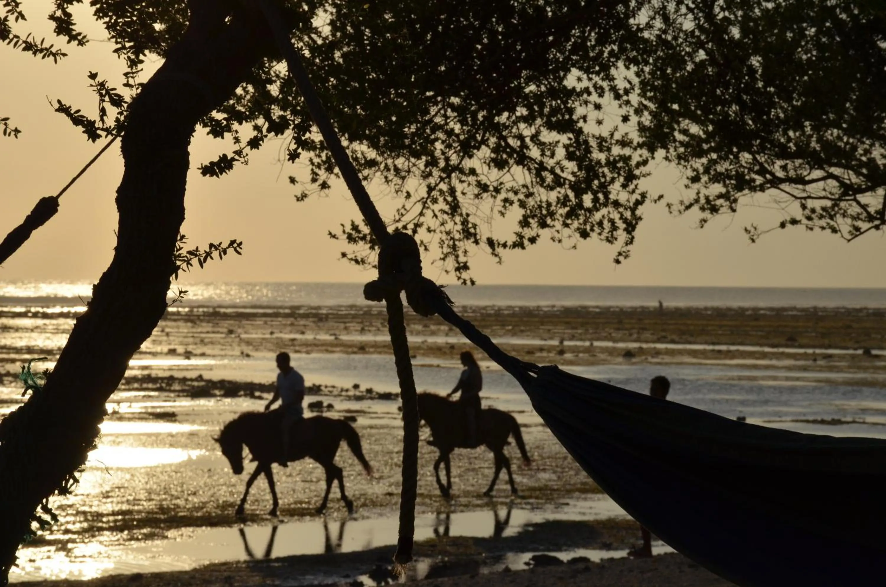 Beach in Serene Beach Villa