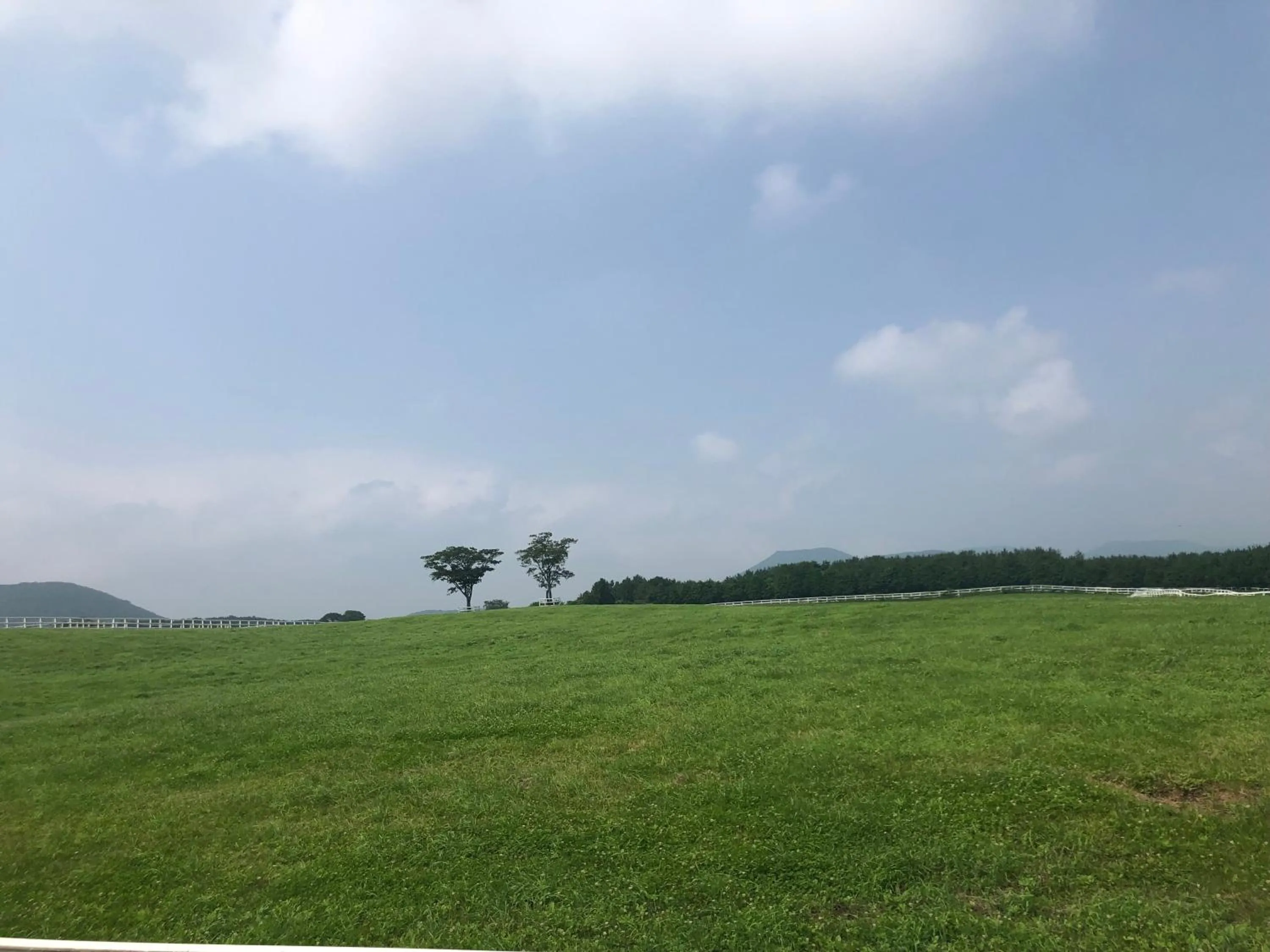 Natural landscape in Seogwipo JS Hotel