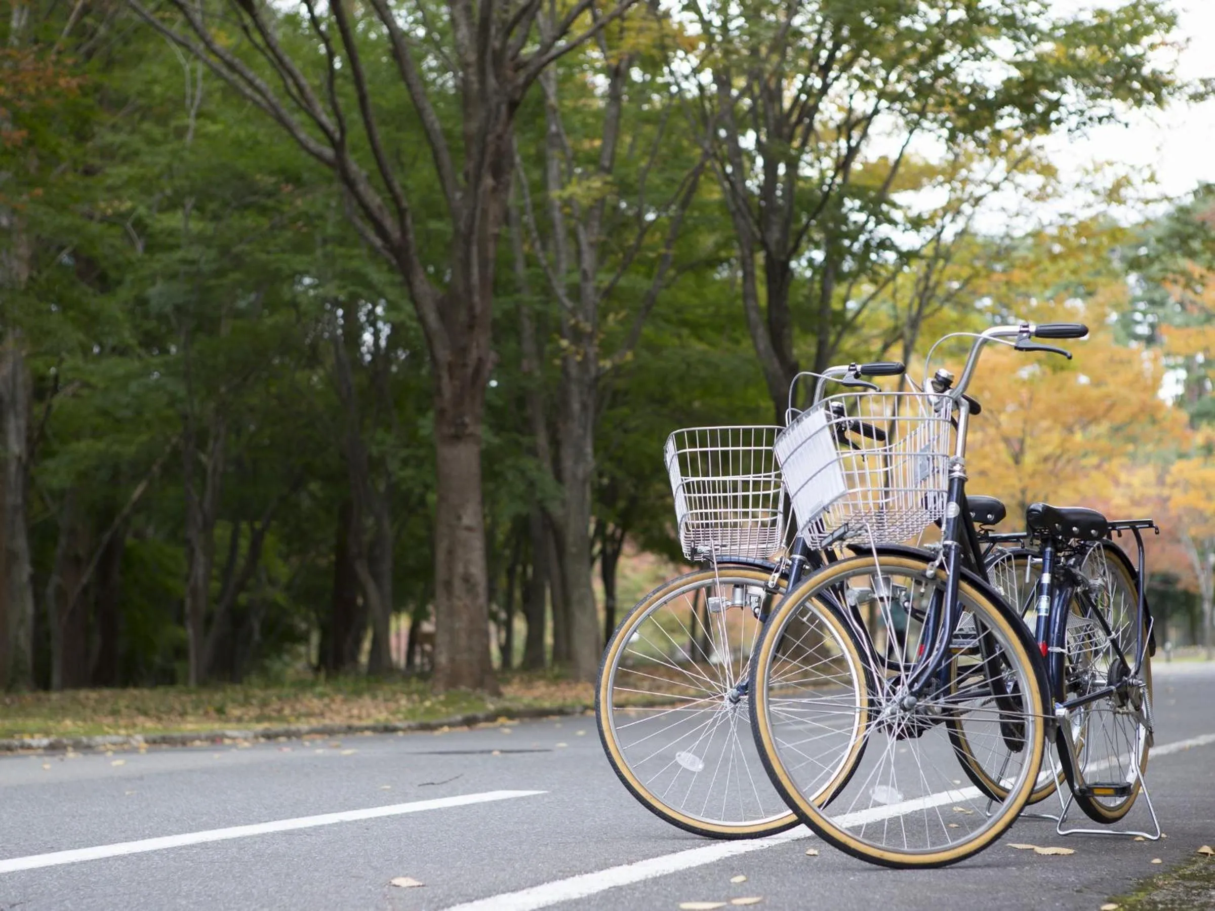 Cycling in Blue Ridge Hotel