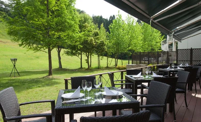 Balcony/Terrace in Blue Ridge Hotel