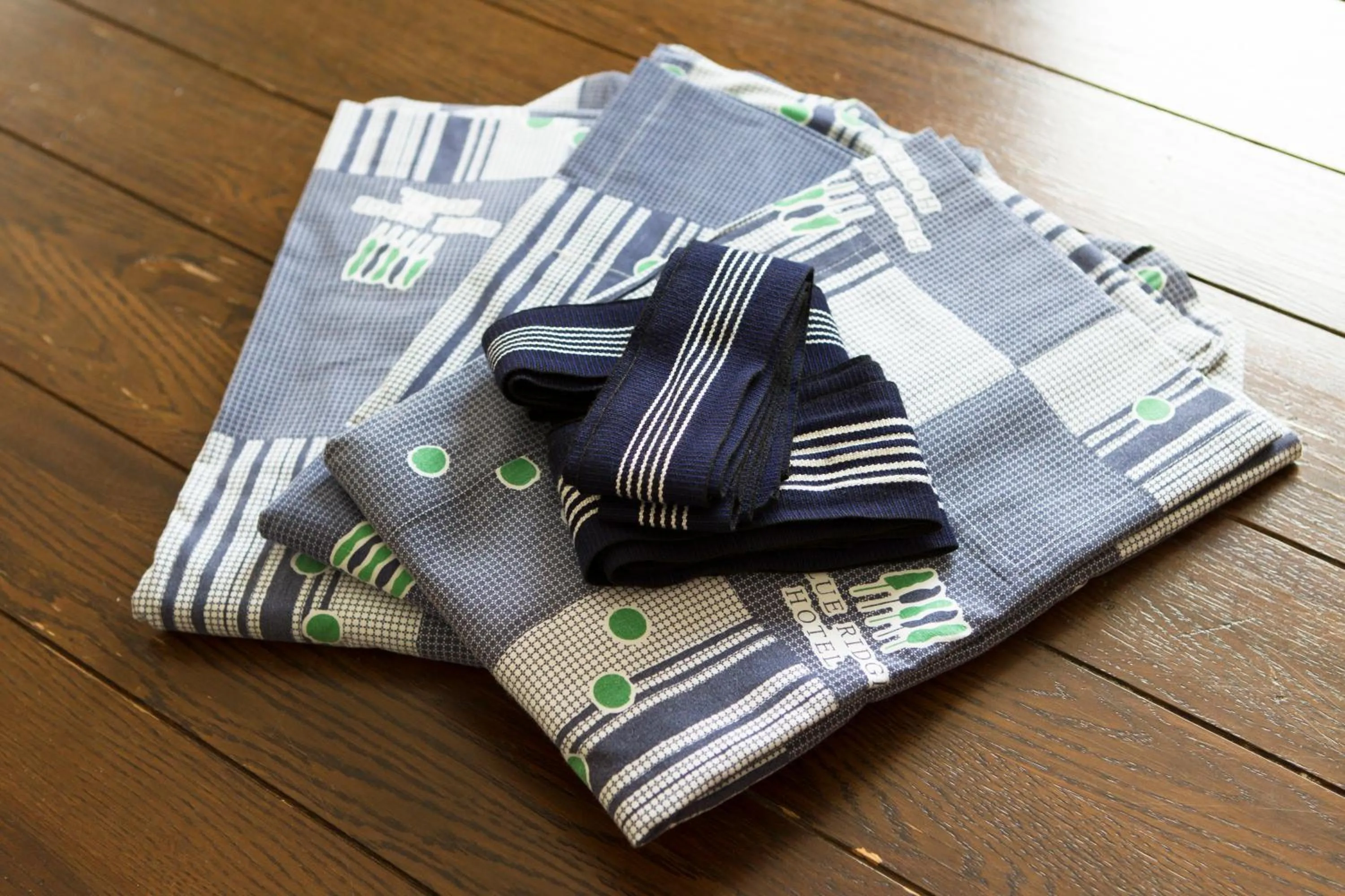 Shower in Blue Ridge Hotel