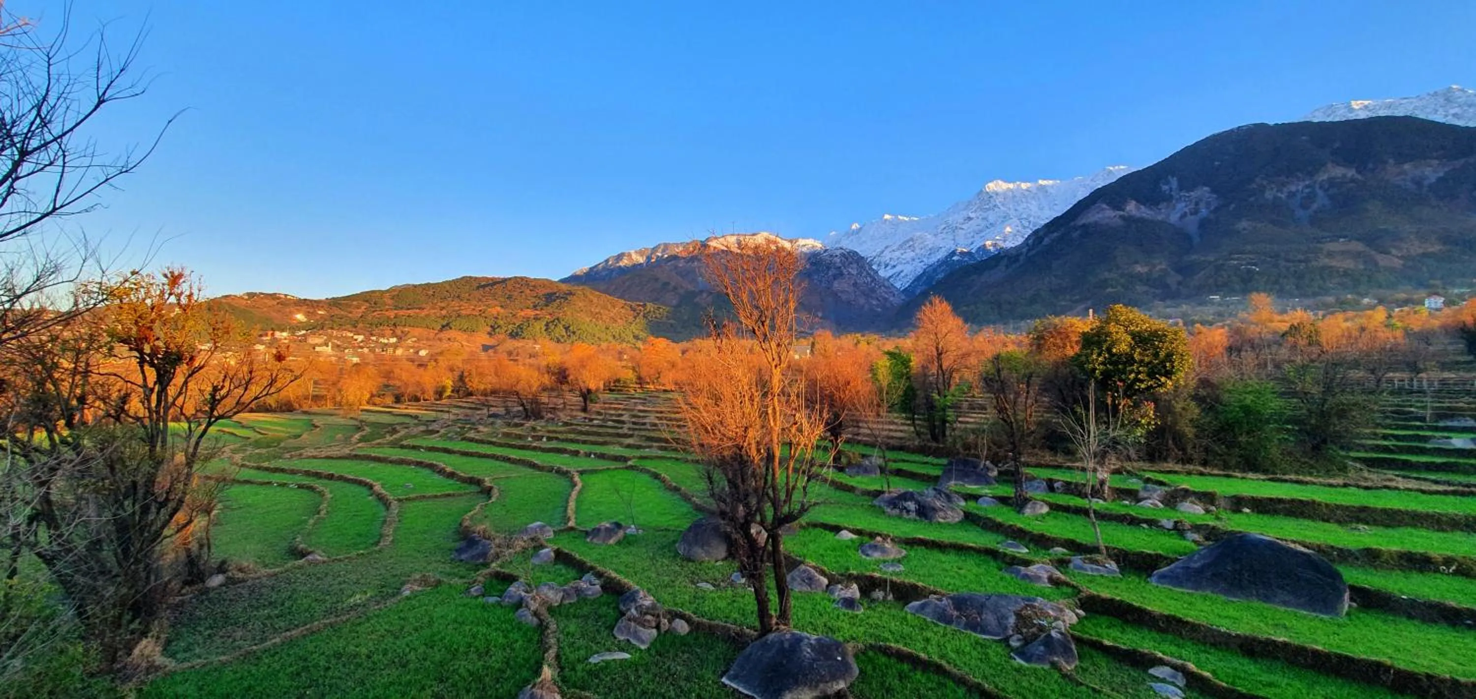 View (from property/room) in Quartz Himalayan Brothers