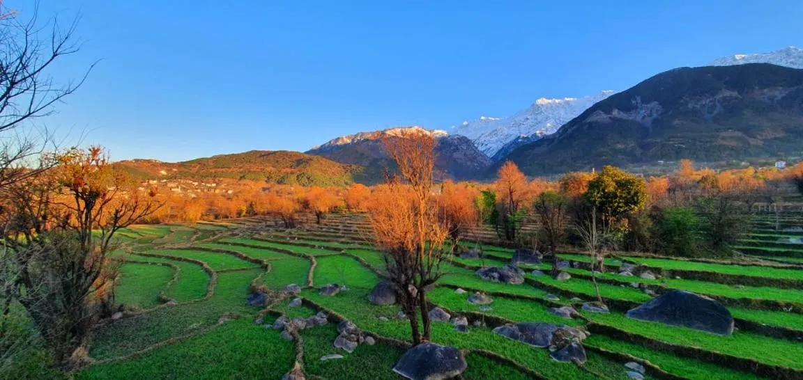 Mountain view in Quartz Himalayan Brothers