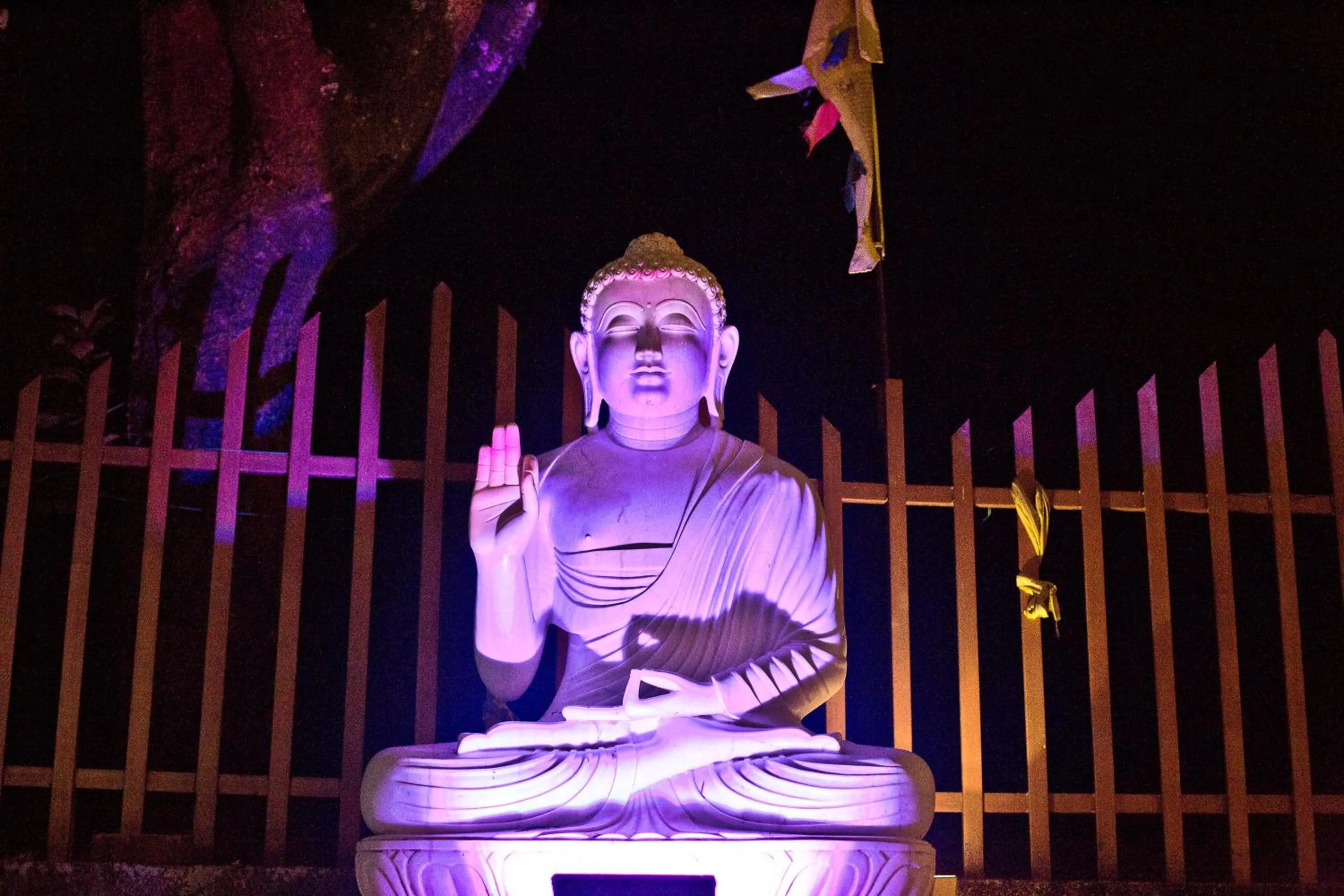 Garden in Quartz Himalayan Brothers