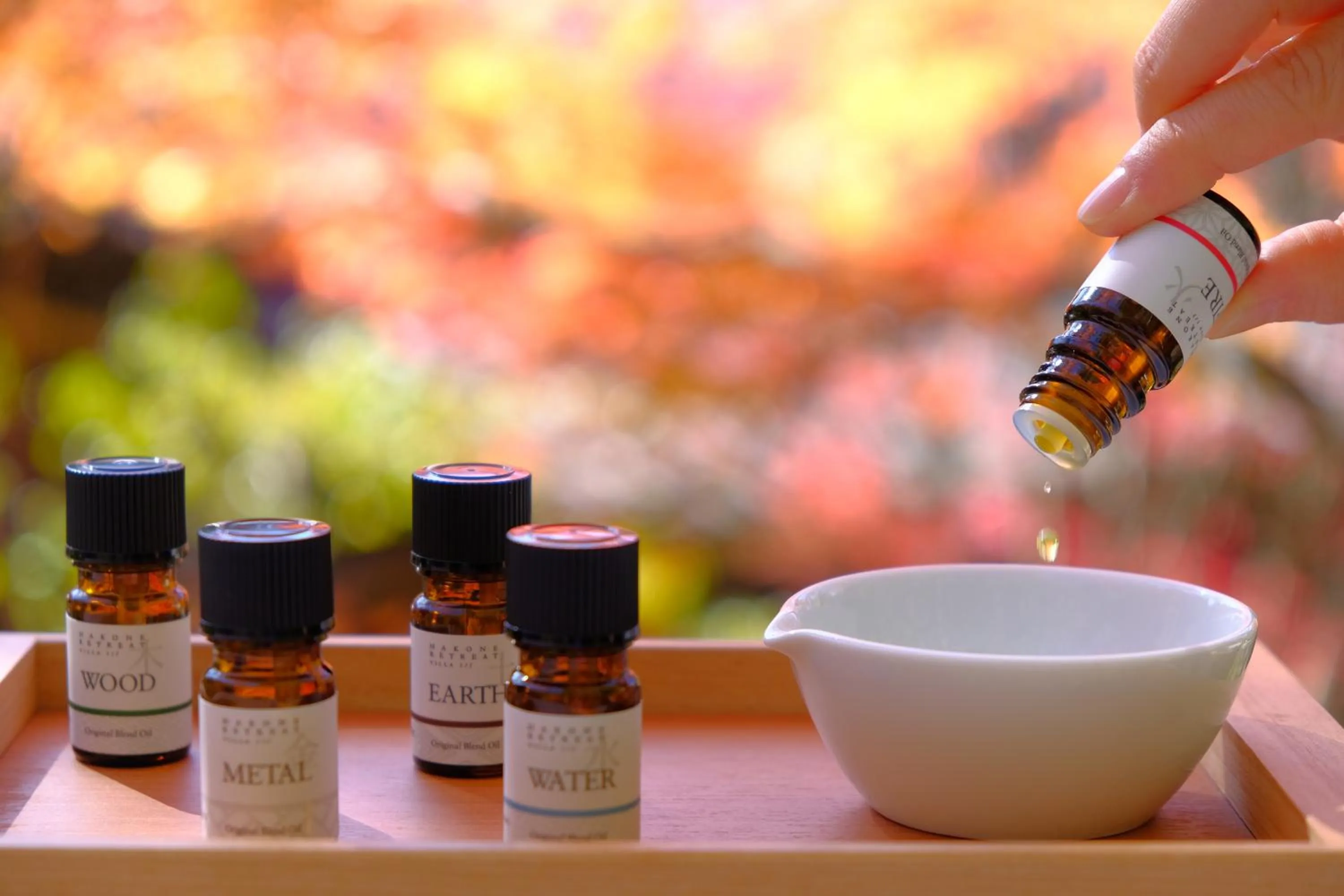 Spa and wellness centre/facilities in Hakone Retreat Före