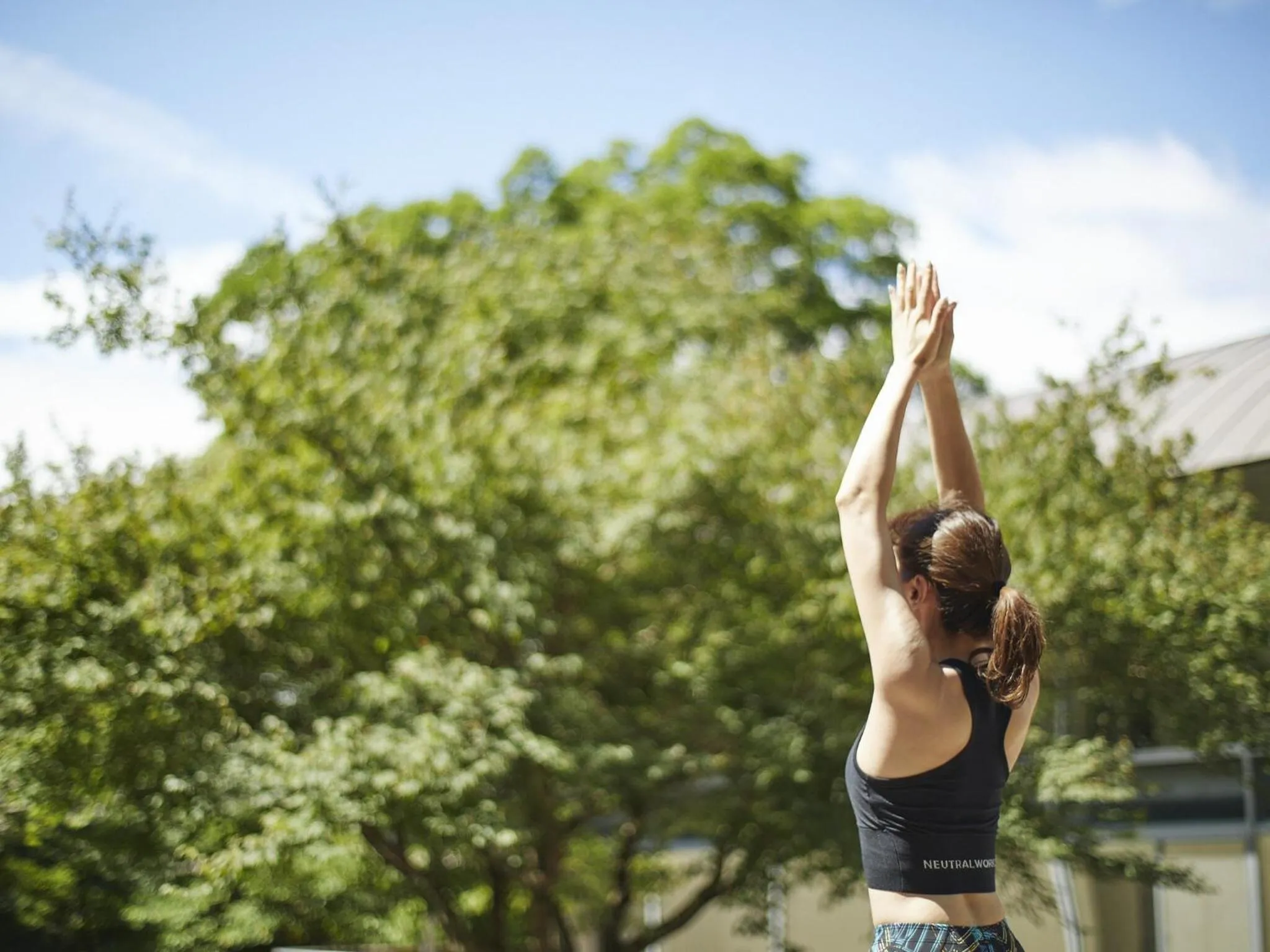 Activities in Hakone Retreat Före