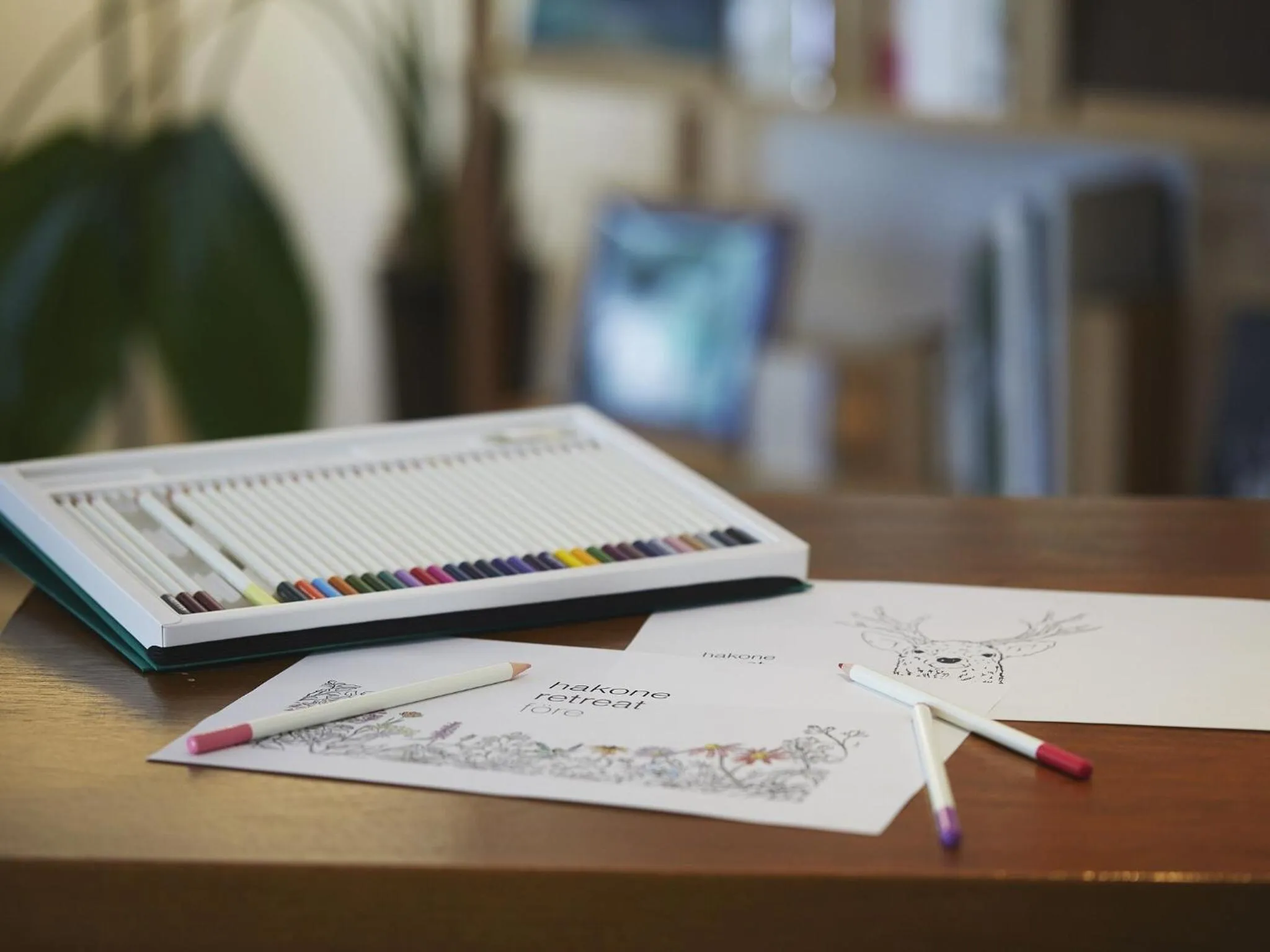 Activities in Hakone Retreat Före