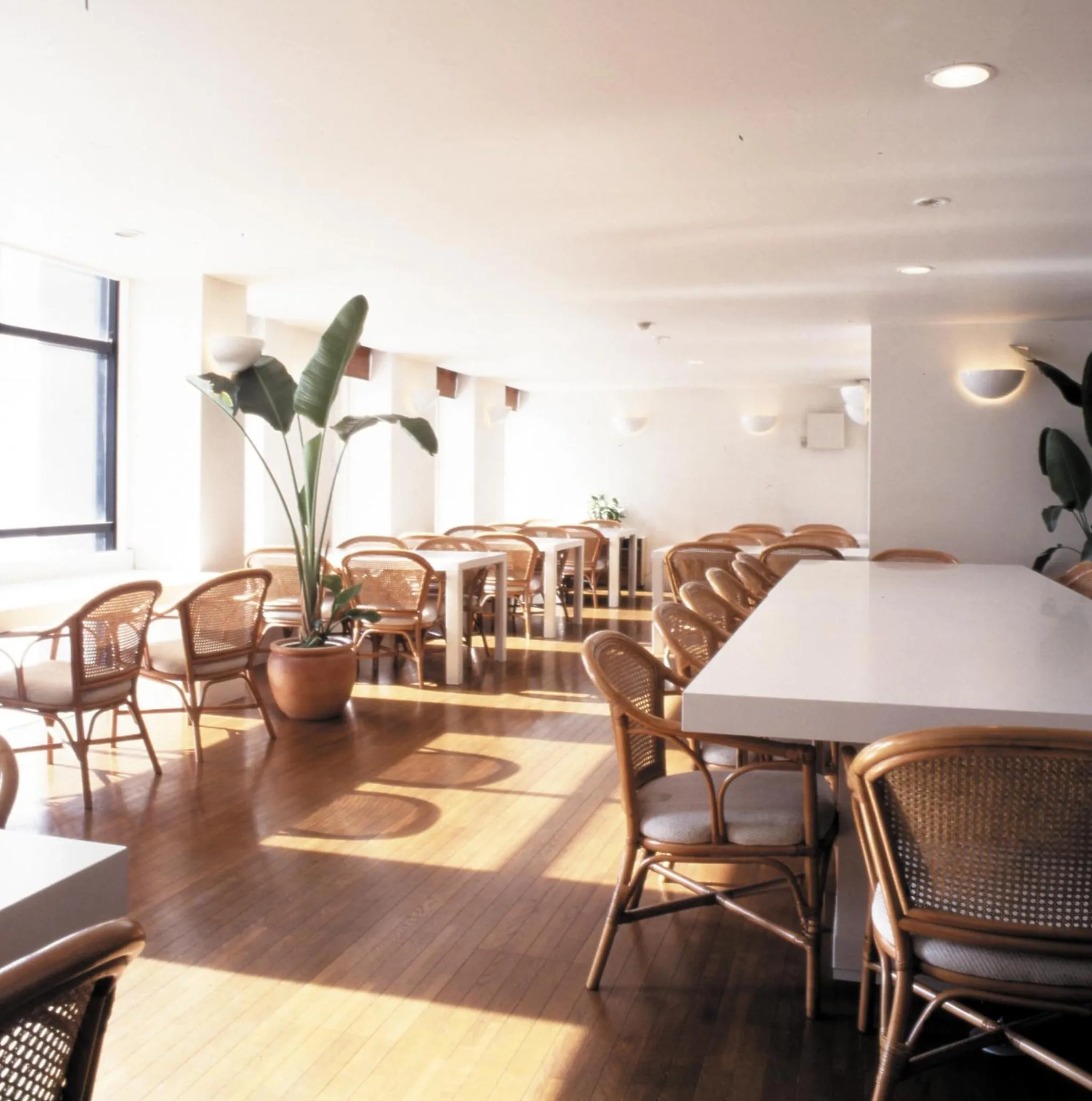 Restaurant/places to eat in Mistral