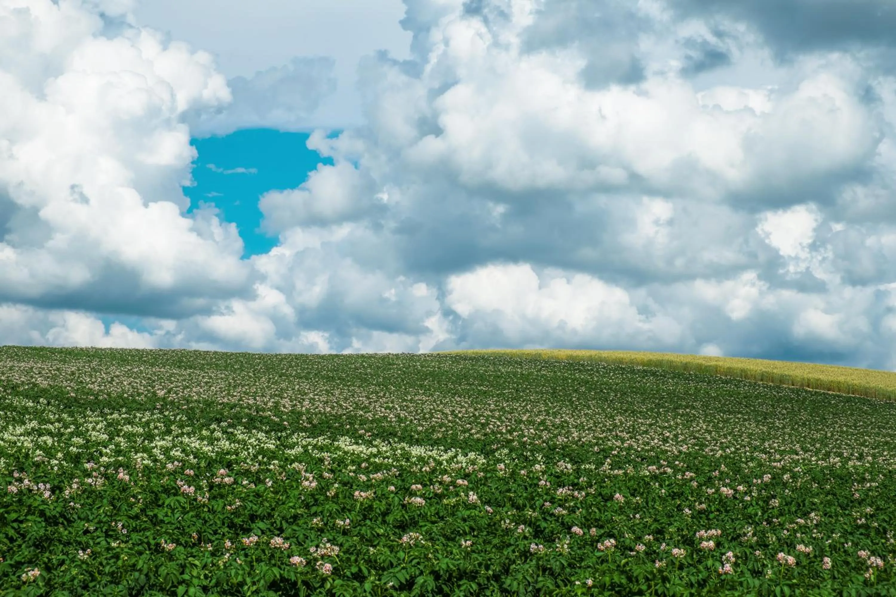 Off site in Pension Megumiyuki