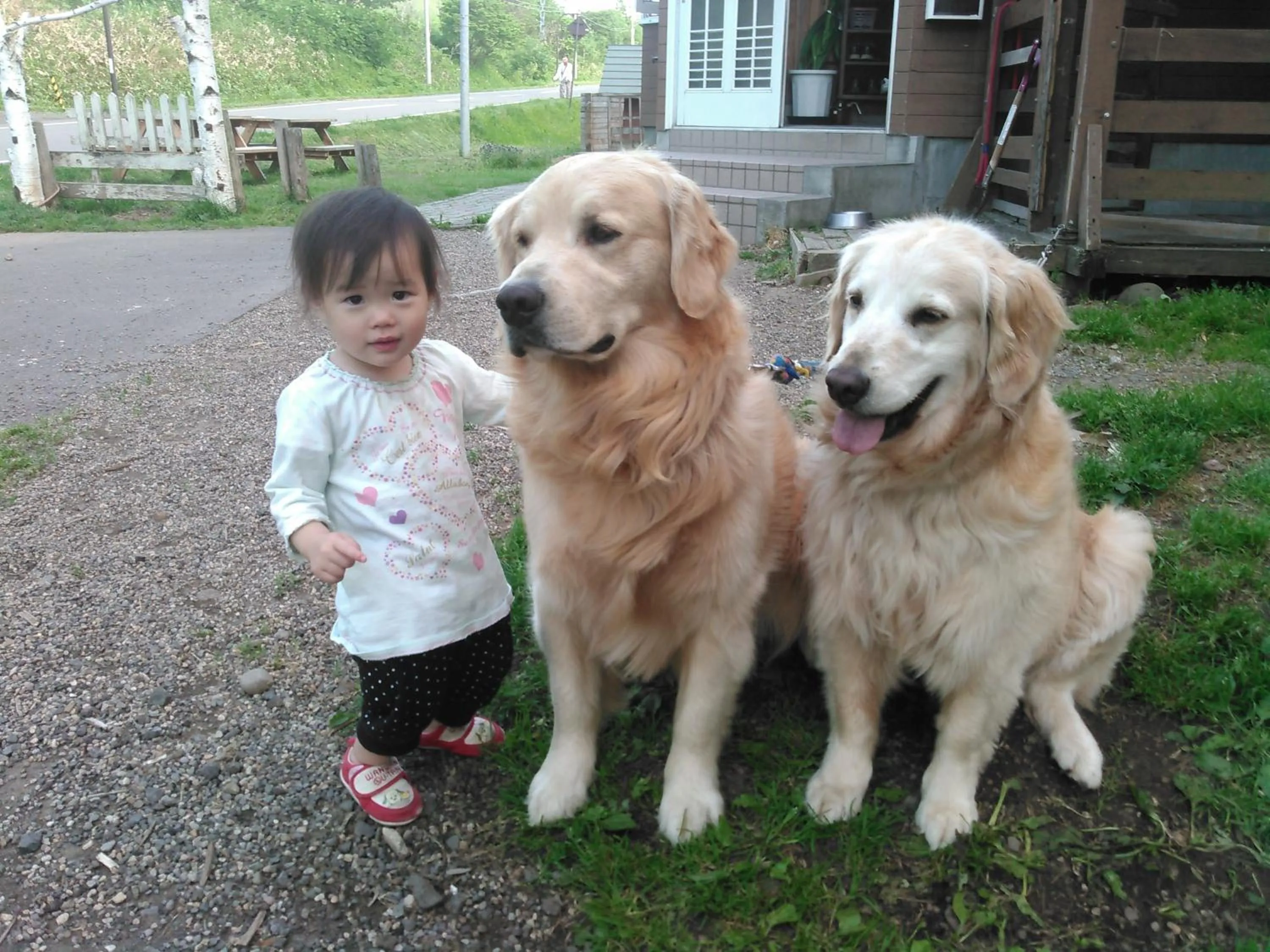 Pets in Pension Megumiyuki