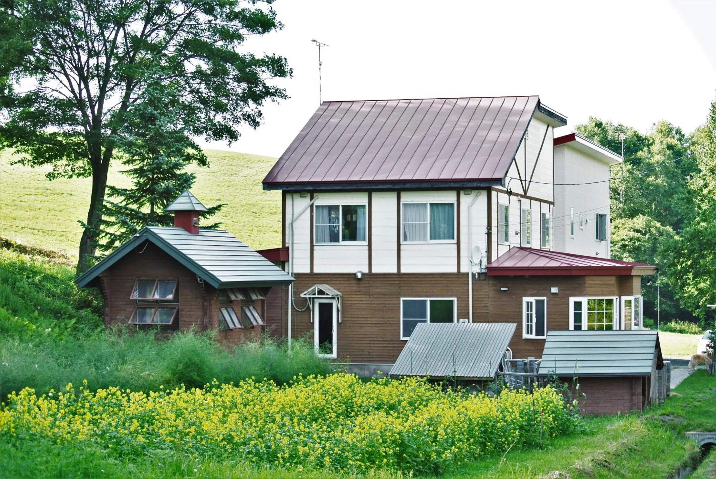 Facade/entrance in Pension Megumiyuki